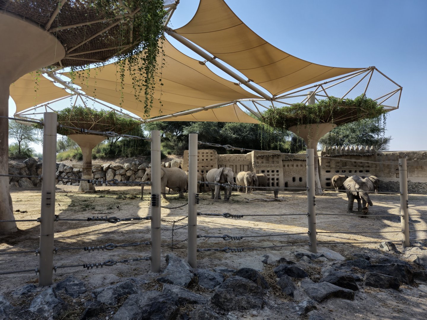 Elephants, Niger Valley