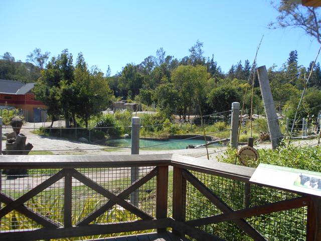 Elephants of Asia August 2013