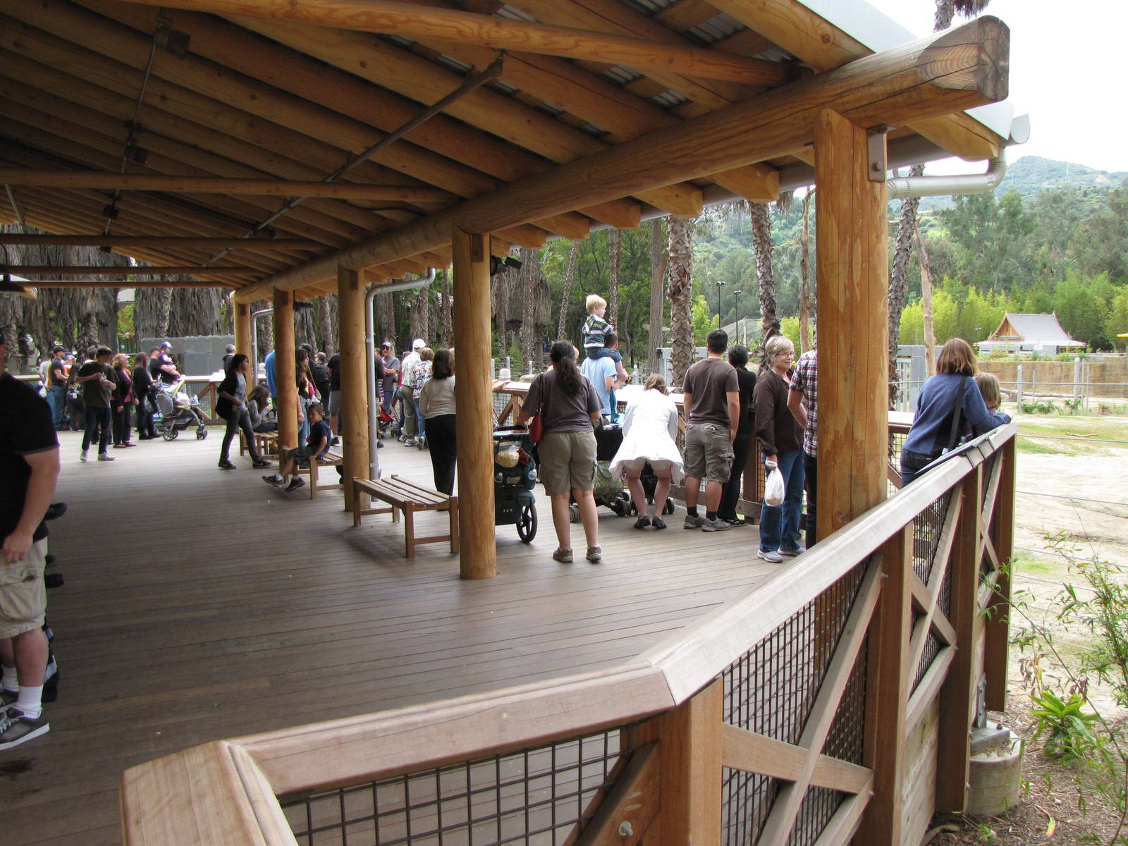 Elephants of Asia Cambodia Observation Deck