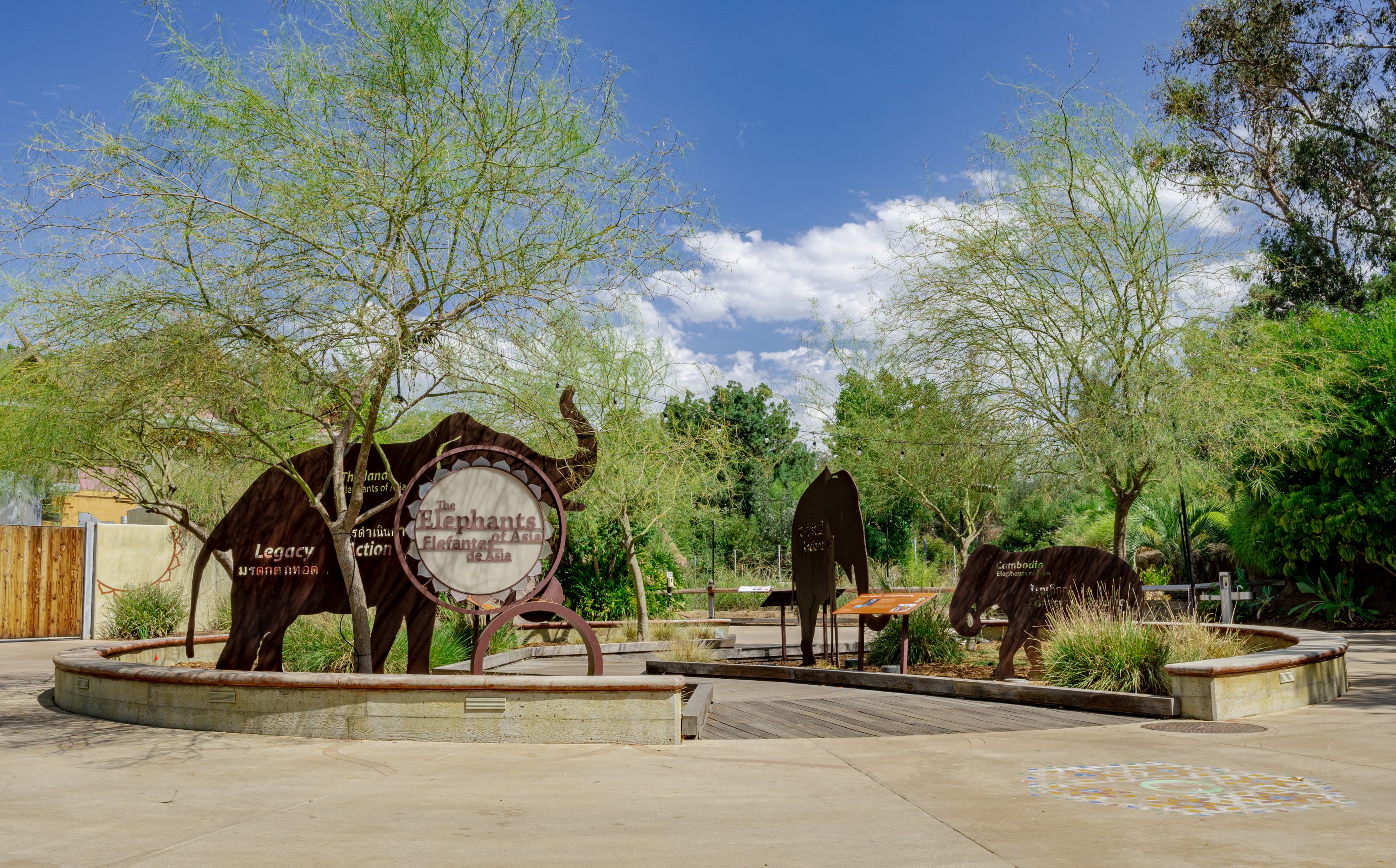 Elephants of Asia: Elephant Circle