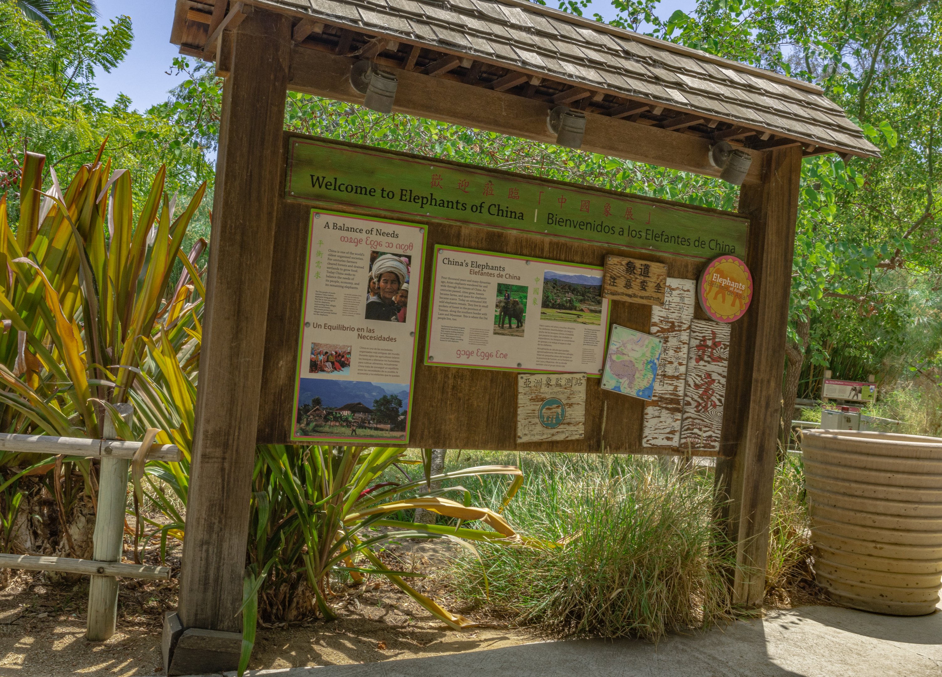 Elephants of Asia: Elephants of China view