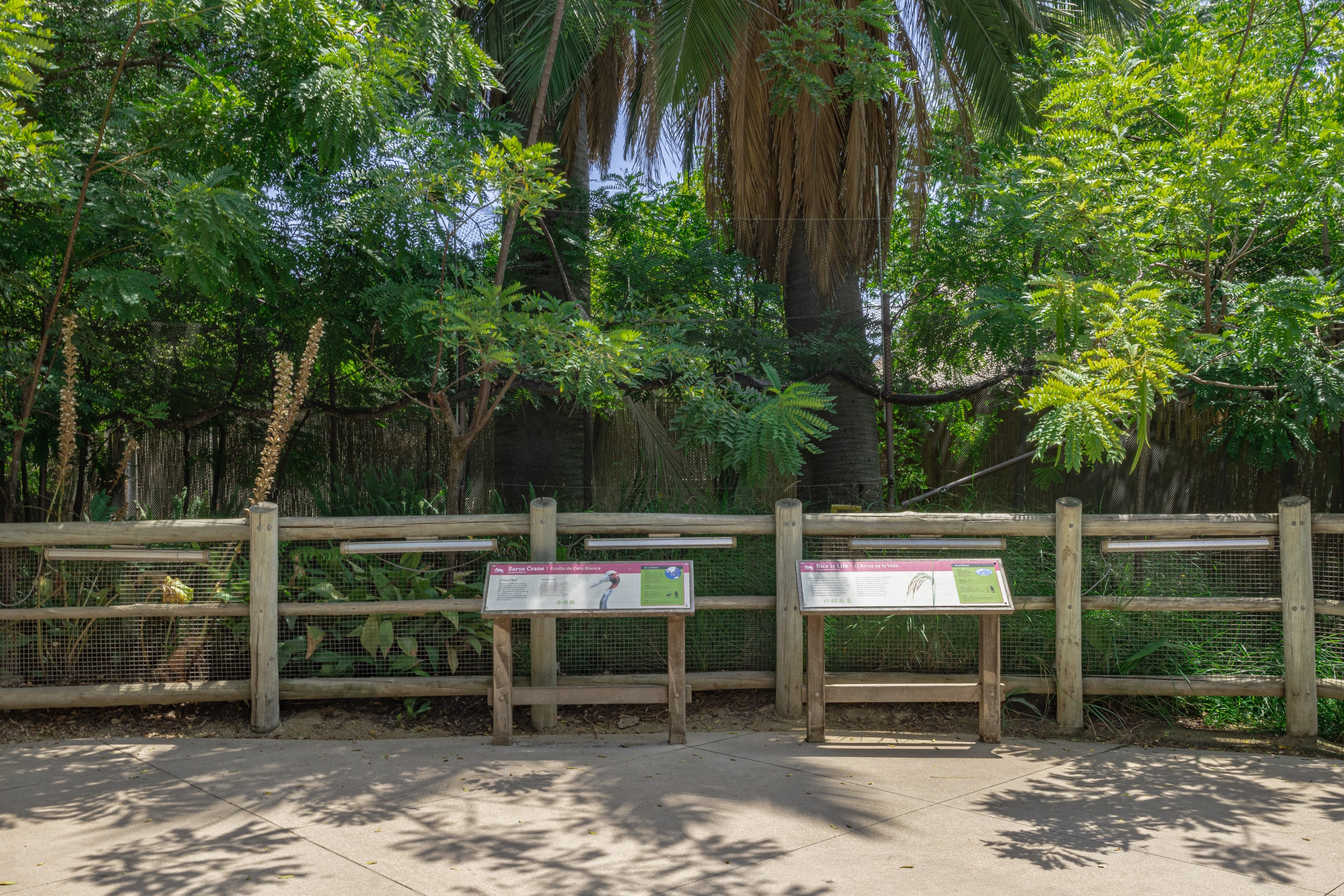 Elephants of Asia: Elephants of China