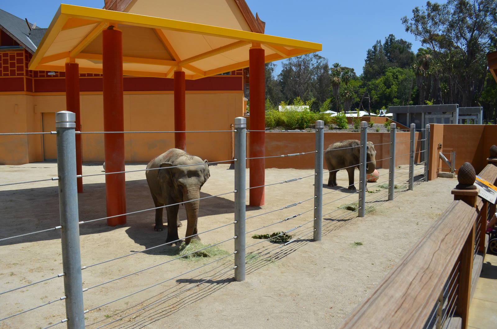 Elephants of Asia - Elephants of Thailand Yard