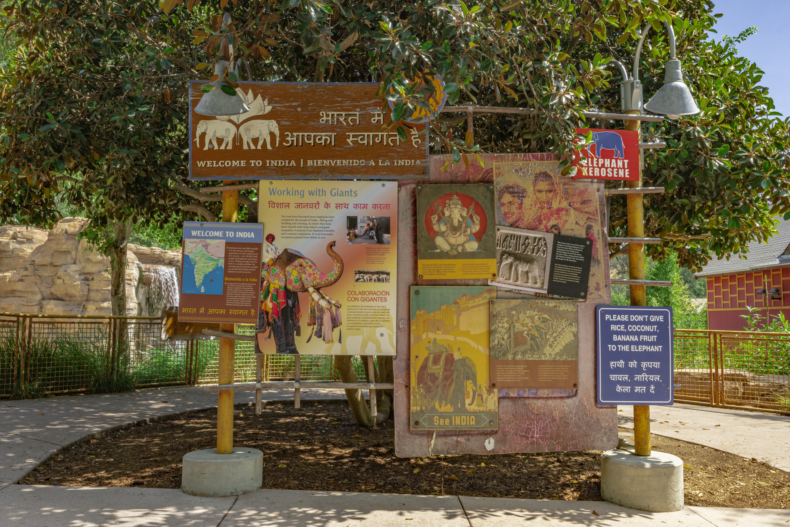 Elephants of Asia: India Plaza