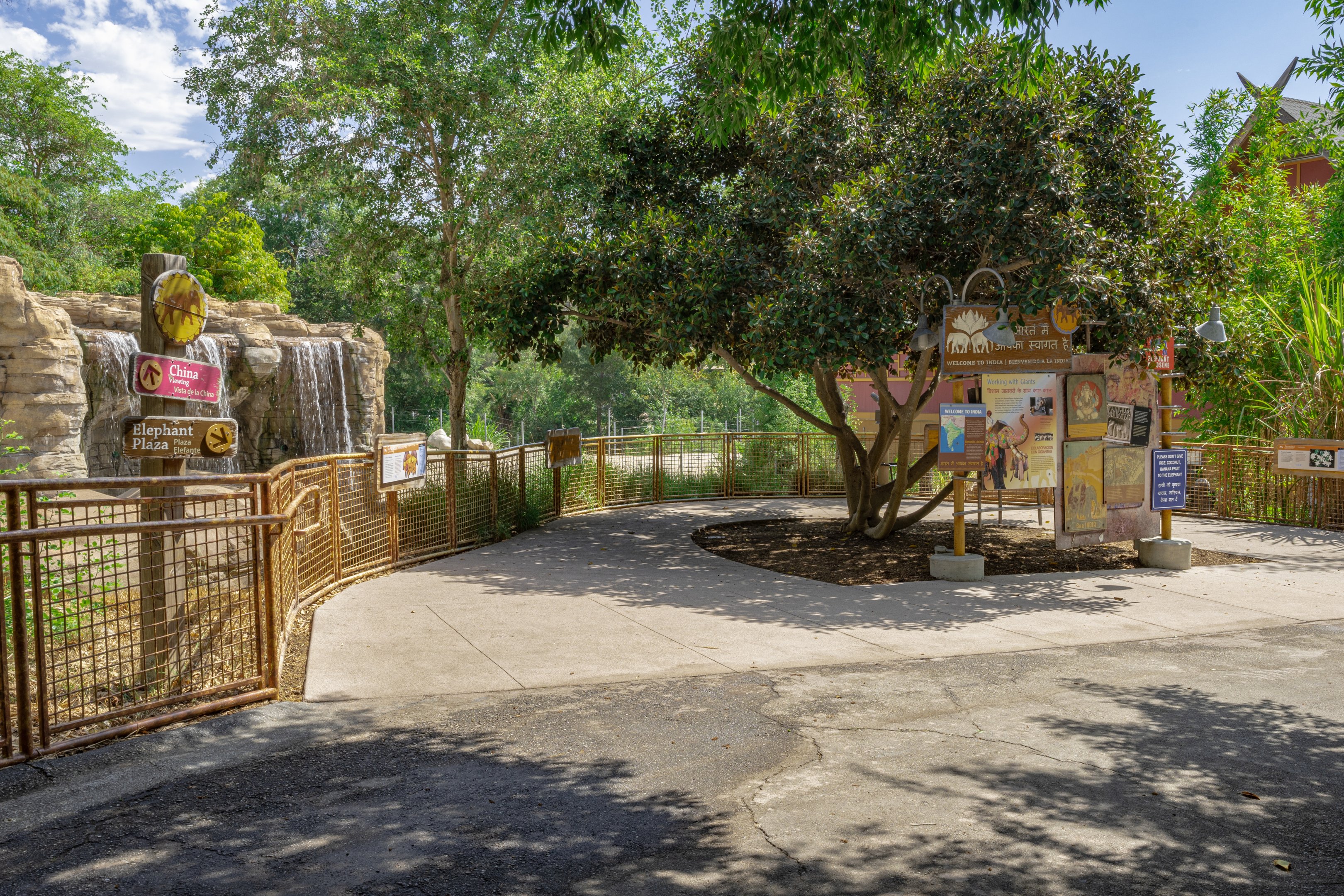 Elephants of Asia: India Plaza