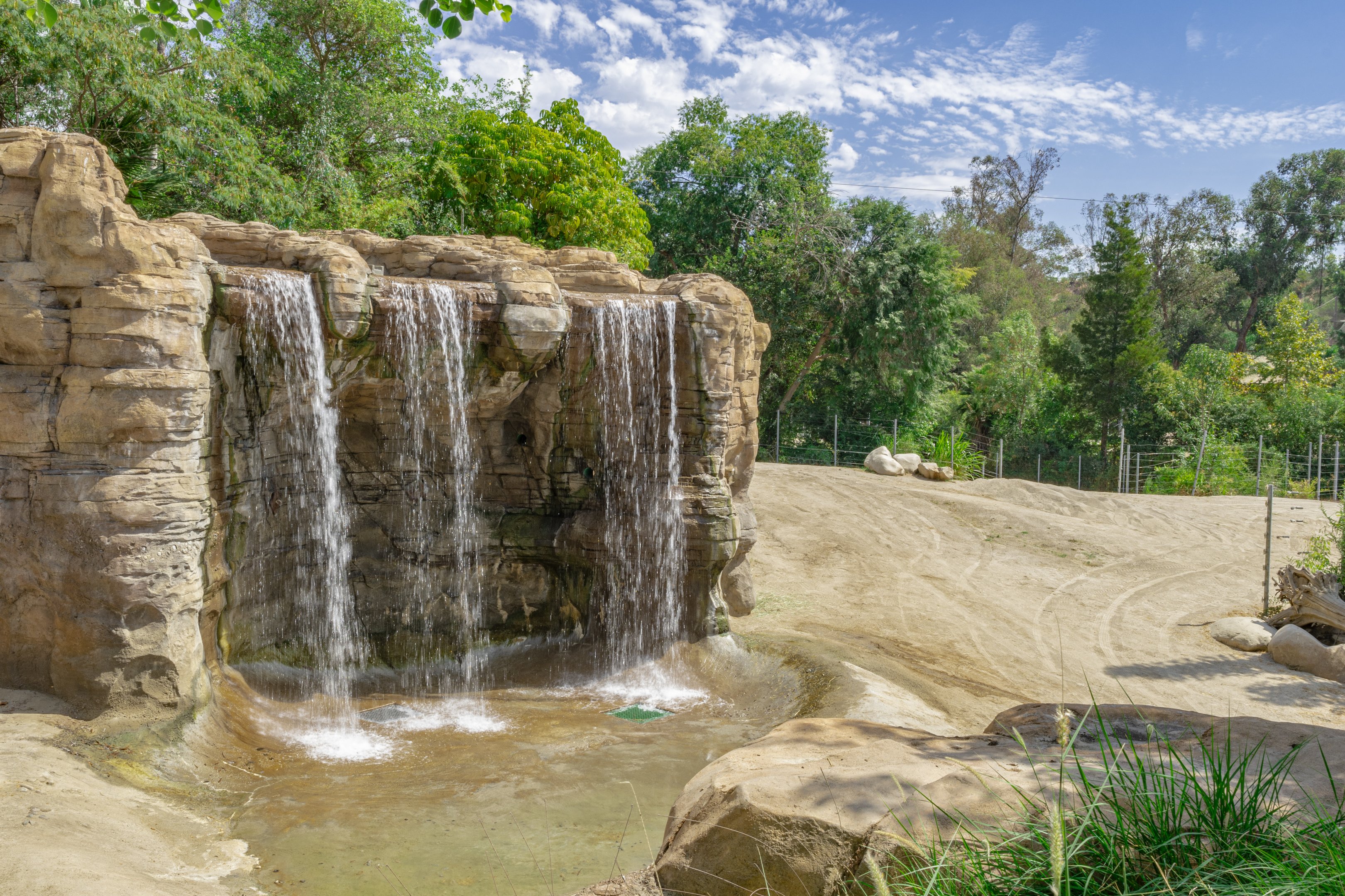 Elephants of Asia: India Plaza