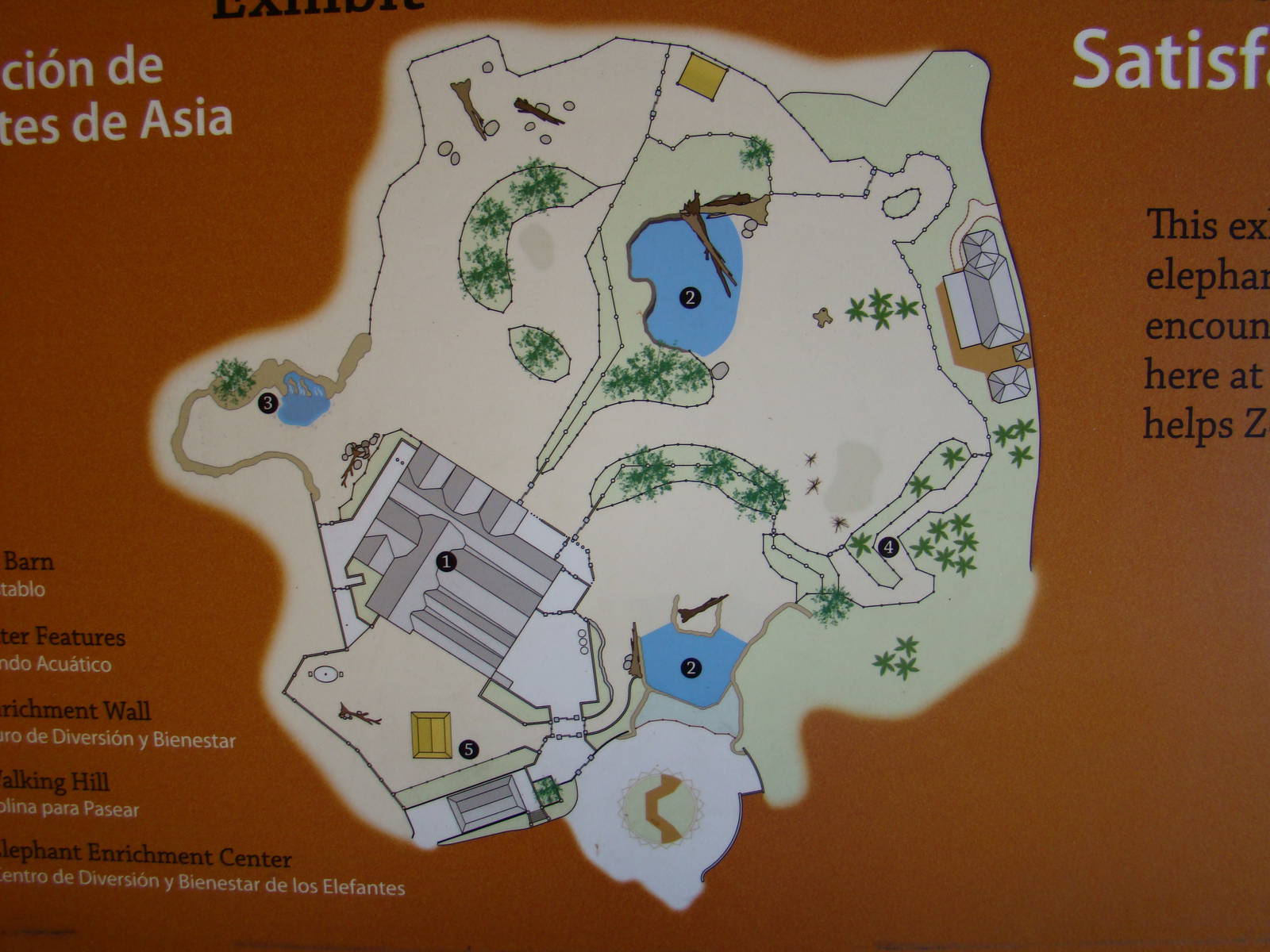 Elephants of Asia map