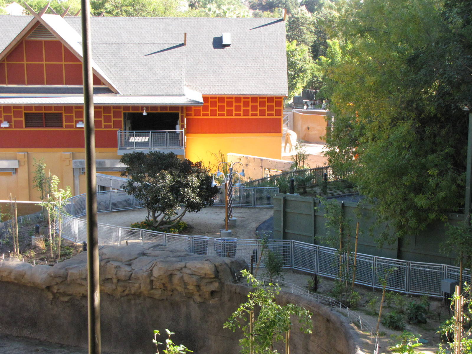 Elephants of Asia - November 26, 2010