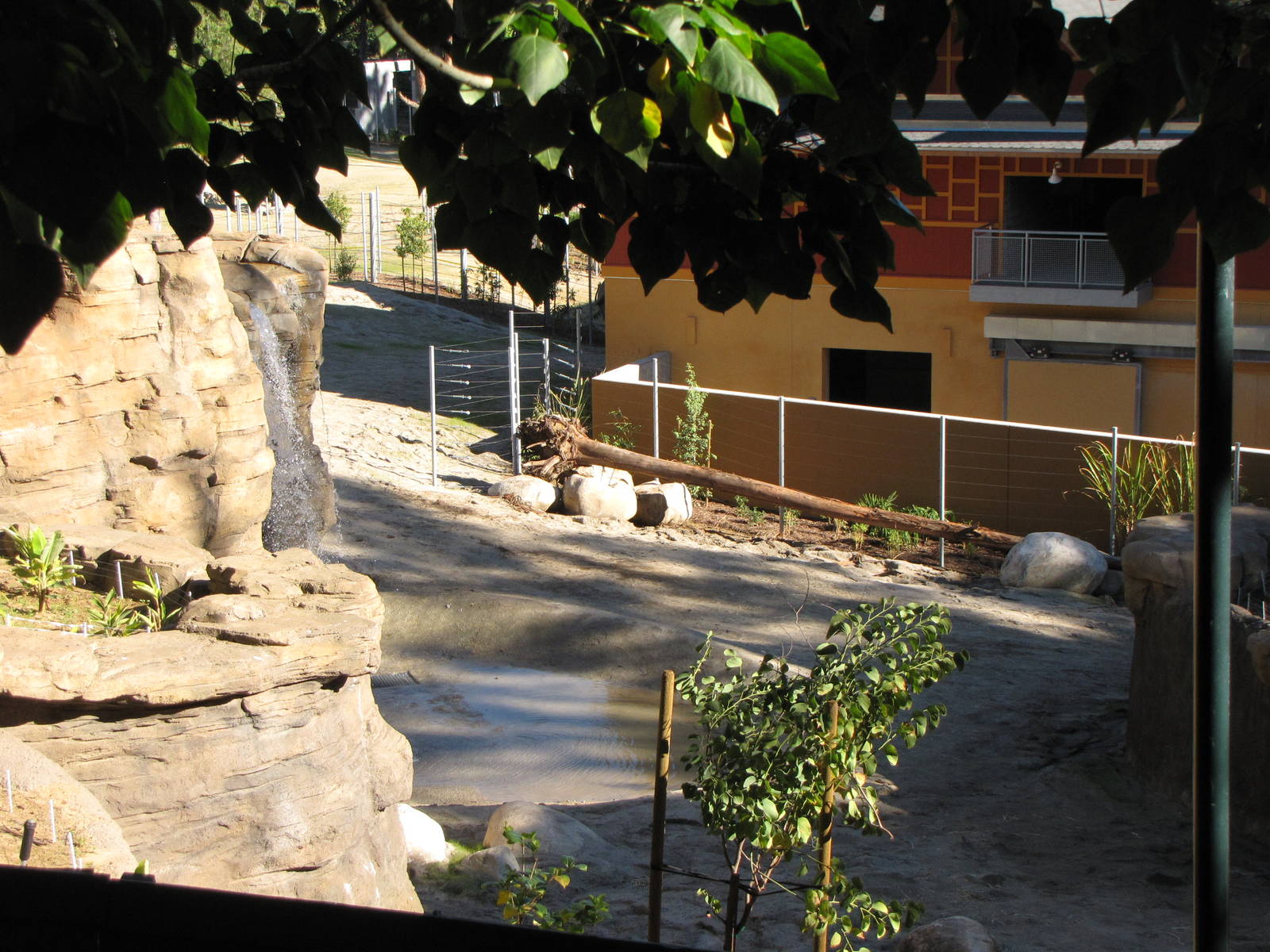 Elephants of Asia - November 26, 2010