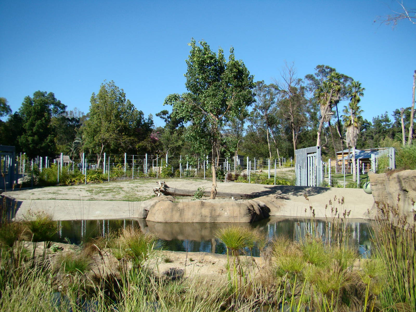 Elephants of Asia Plaza exhibit