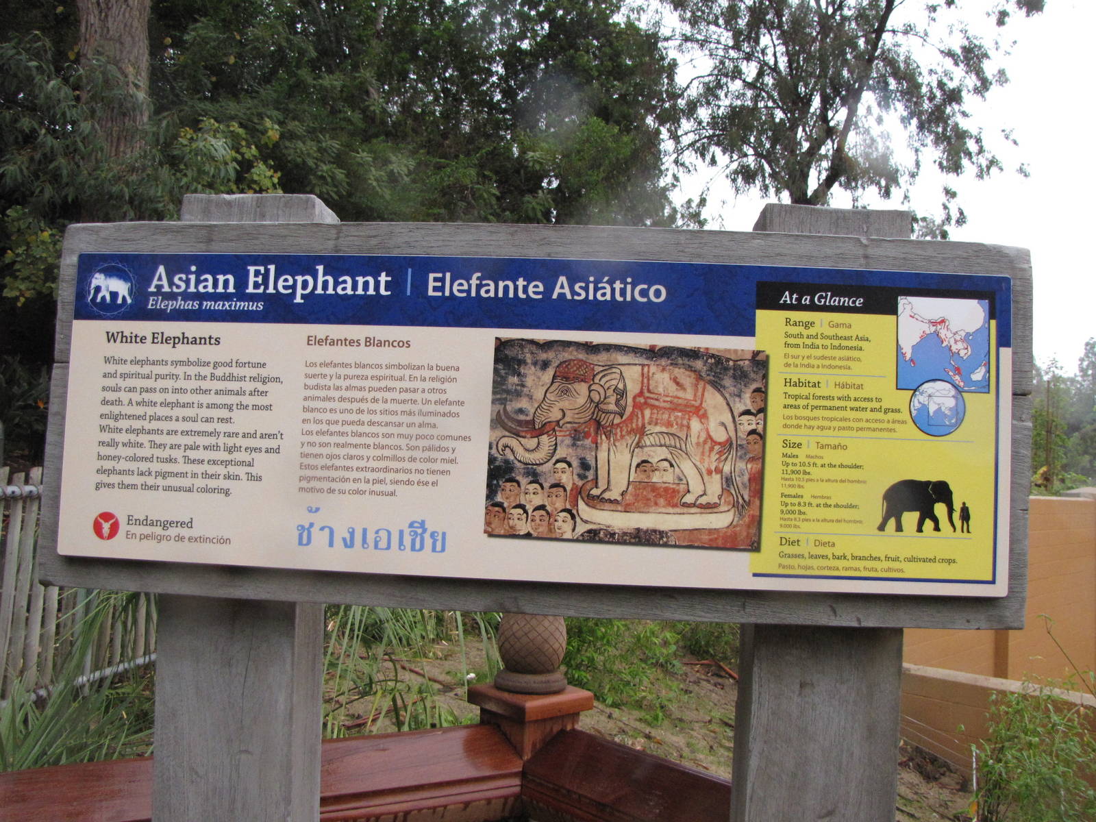 Elephants of Asia Signage