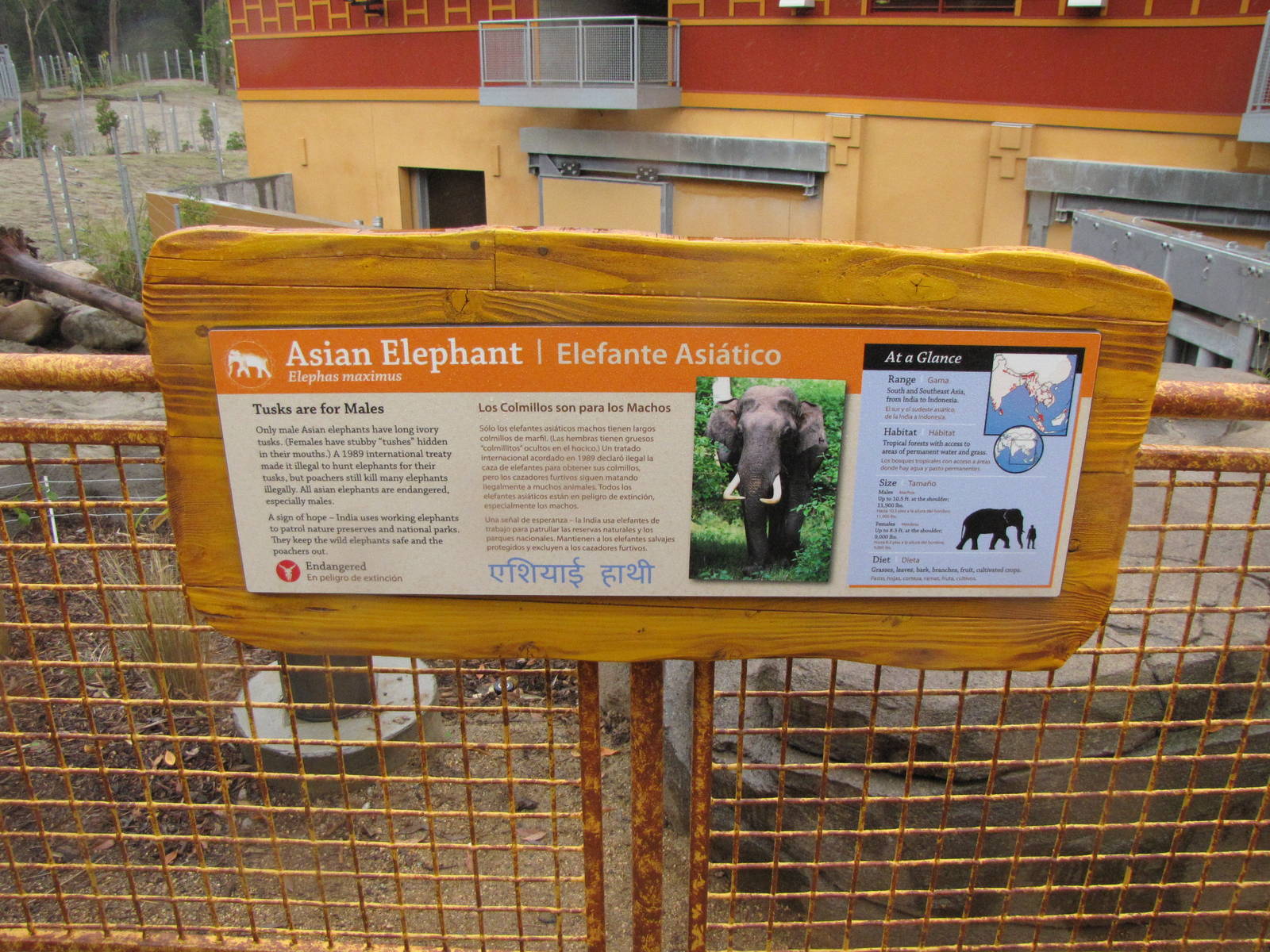 Elephants of Asia Signage