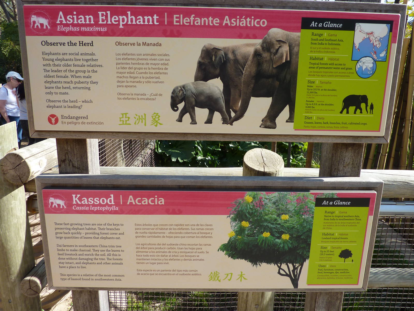 Elephants of Asia Signage