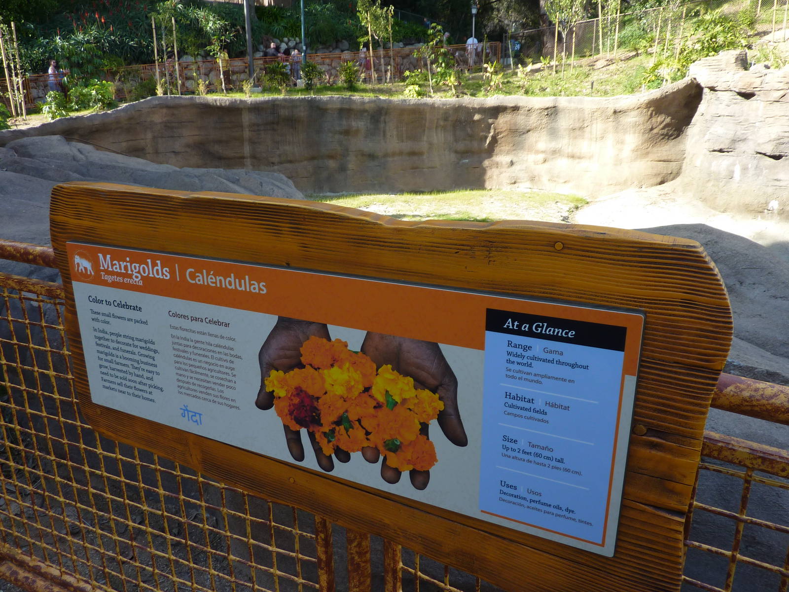 Elephants of Asia Signage