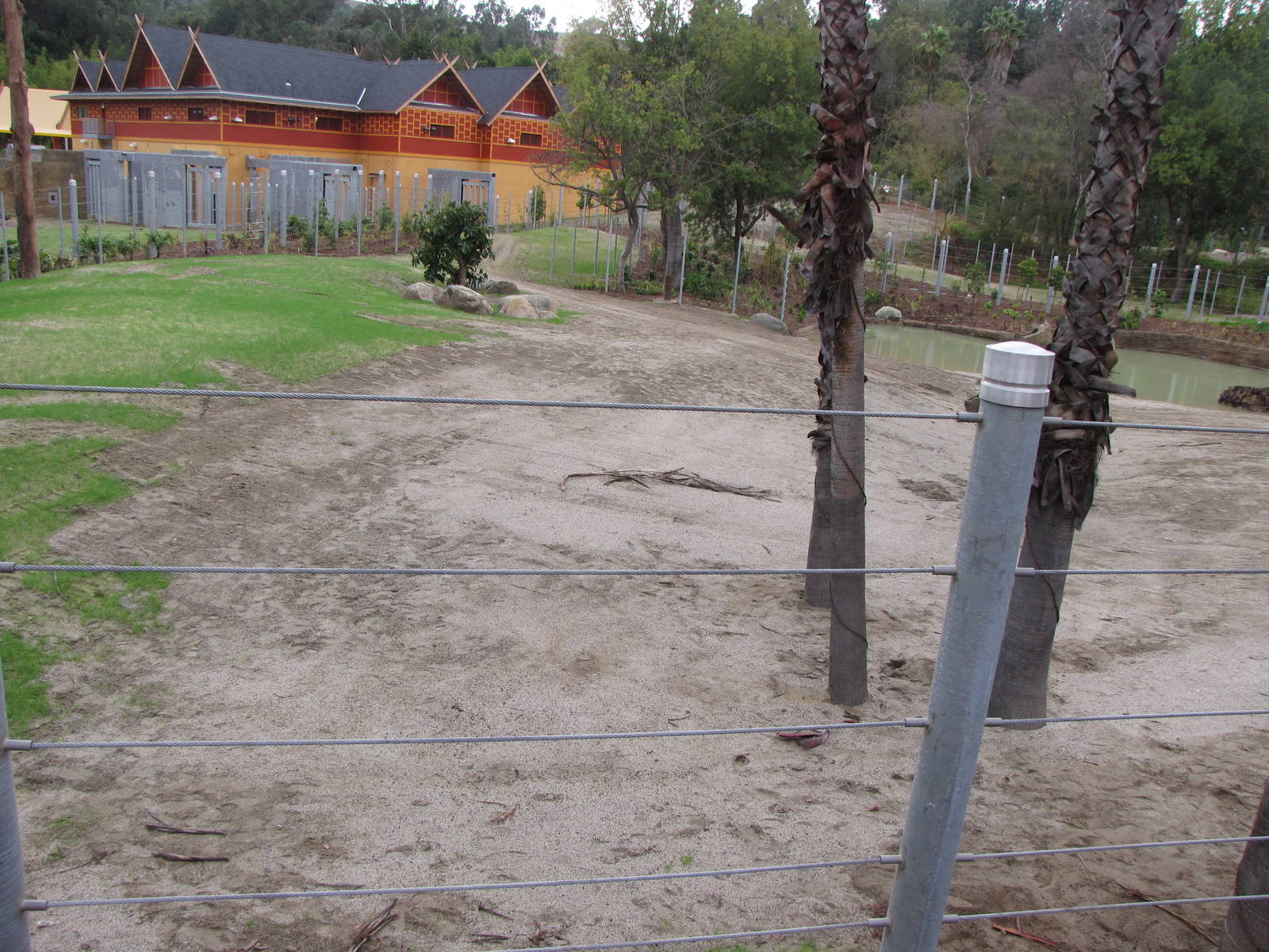 Elephants of Cambodia - Elephants of Asia