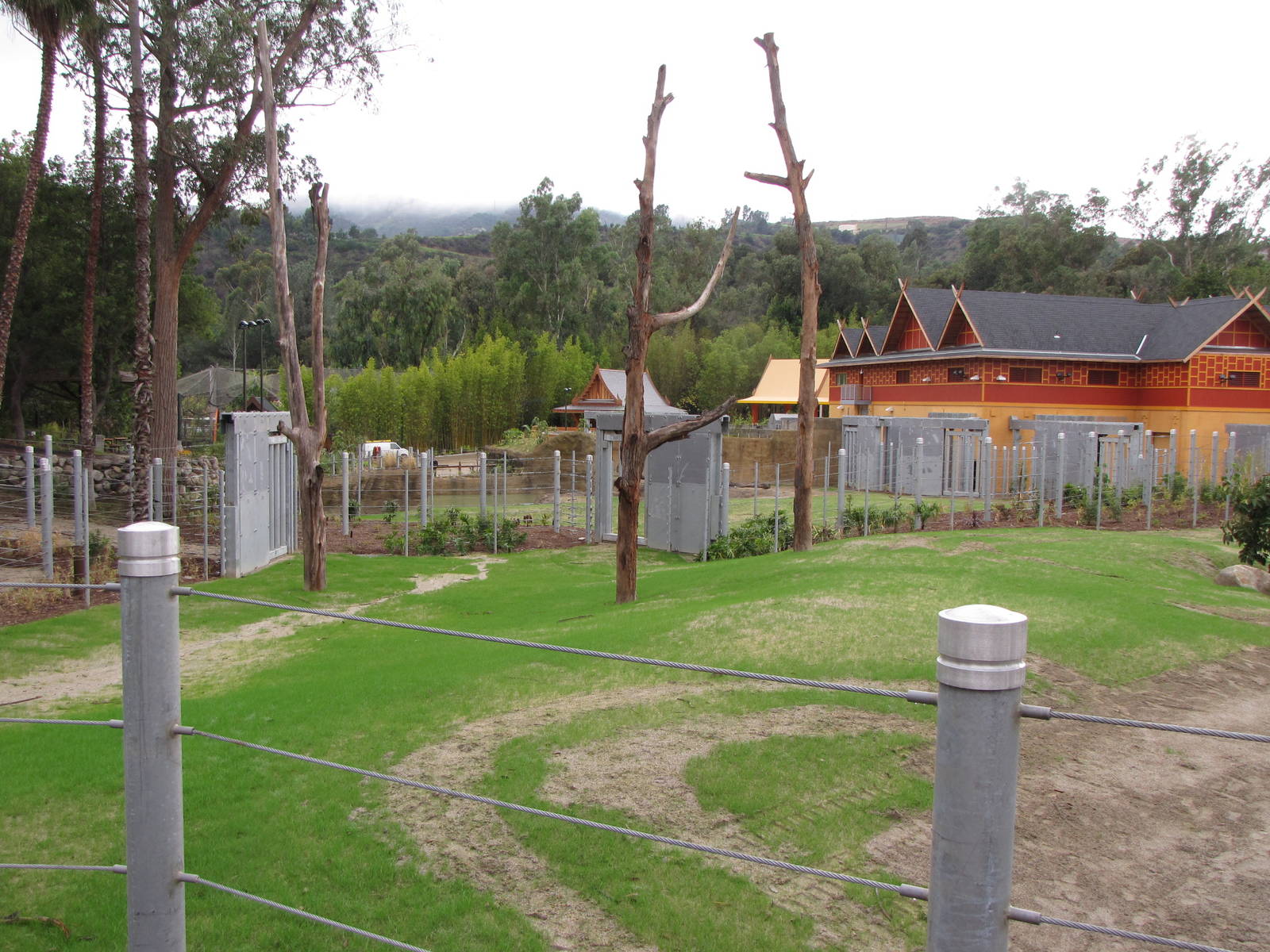 Elephants of Cambodia - Elephants of Asia