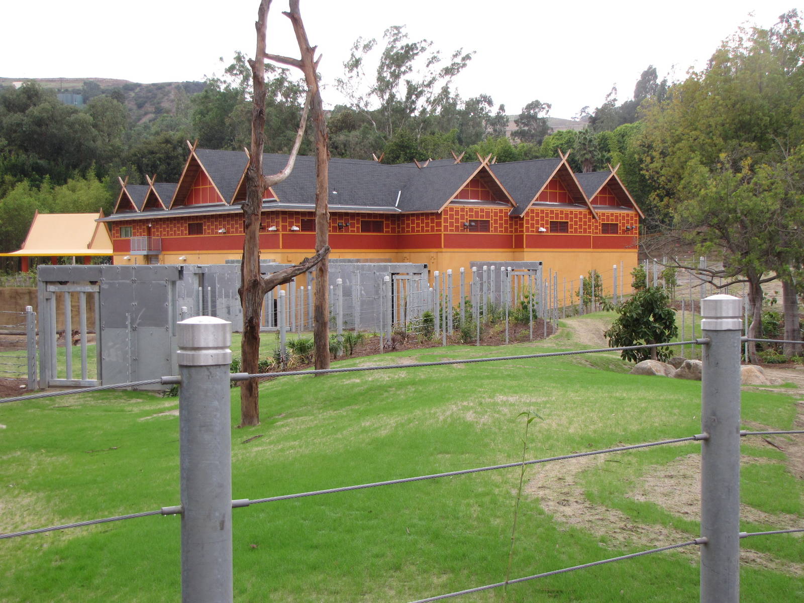 Elephants of Cambodia - Elephants of Asia