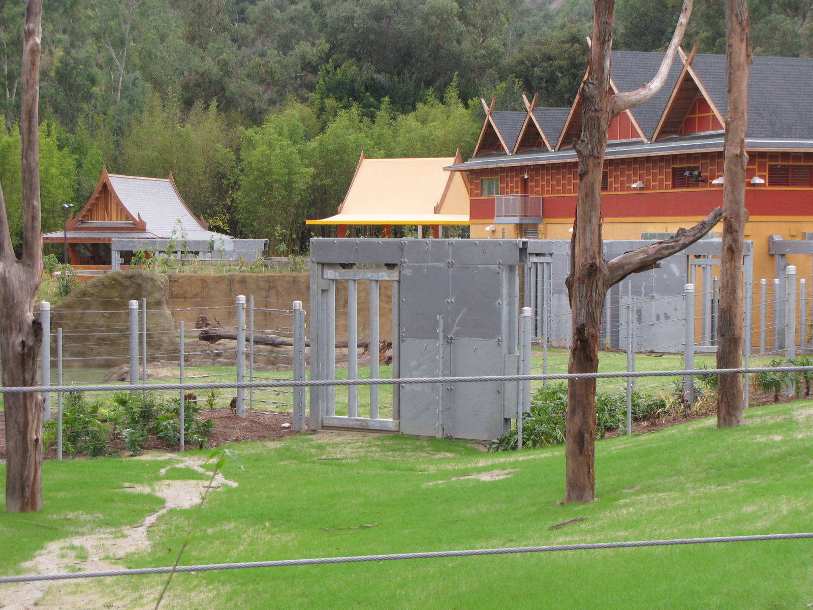 Elephants of Cambodia - Elephants of Asia