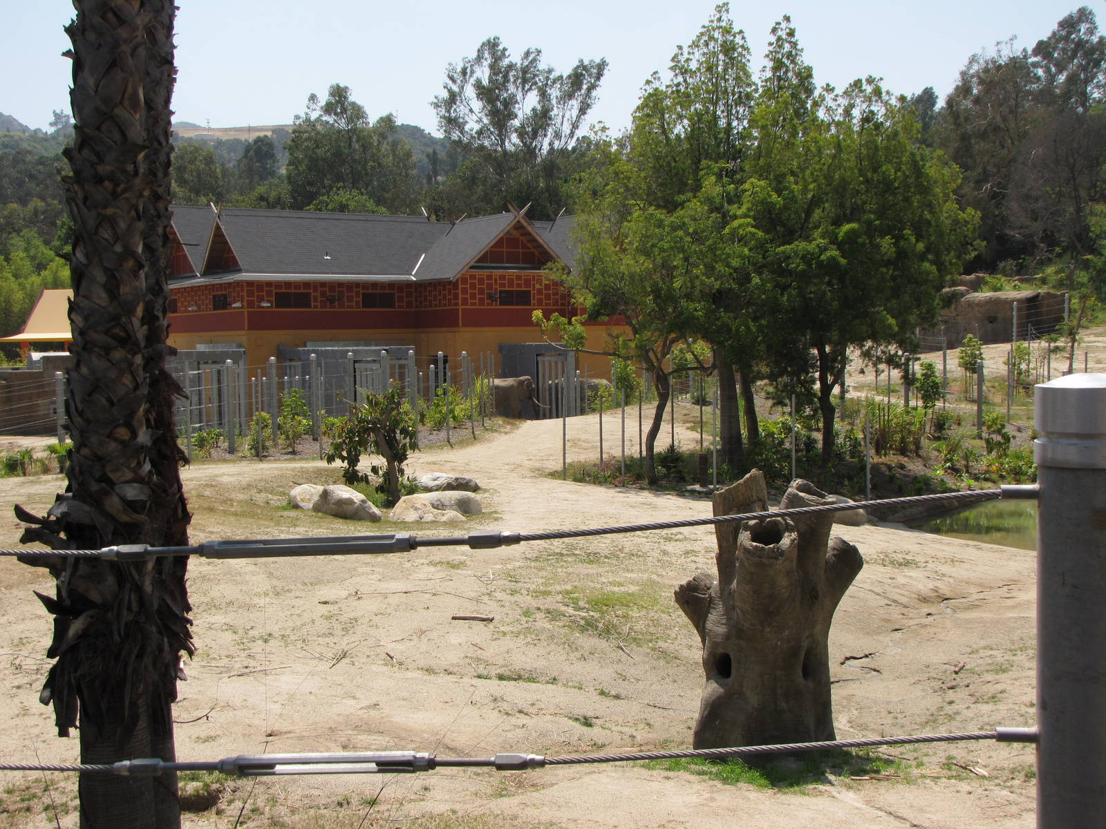 Elephants of Cambodia - Elephants of Asia