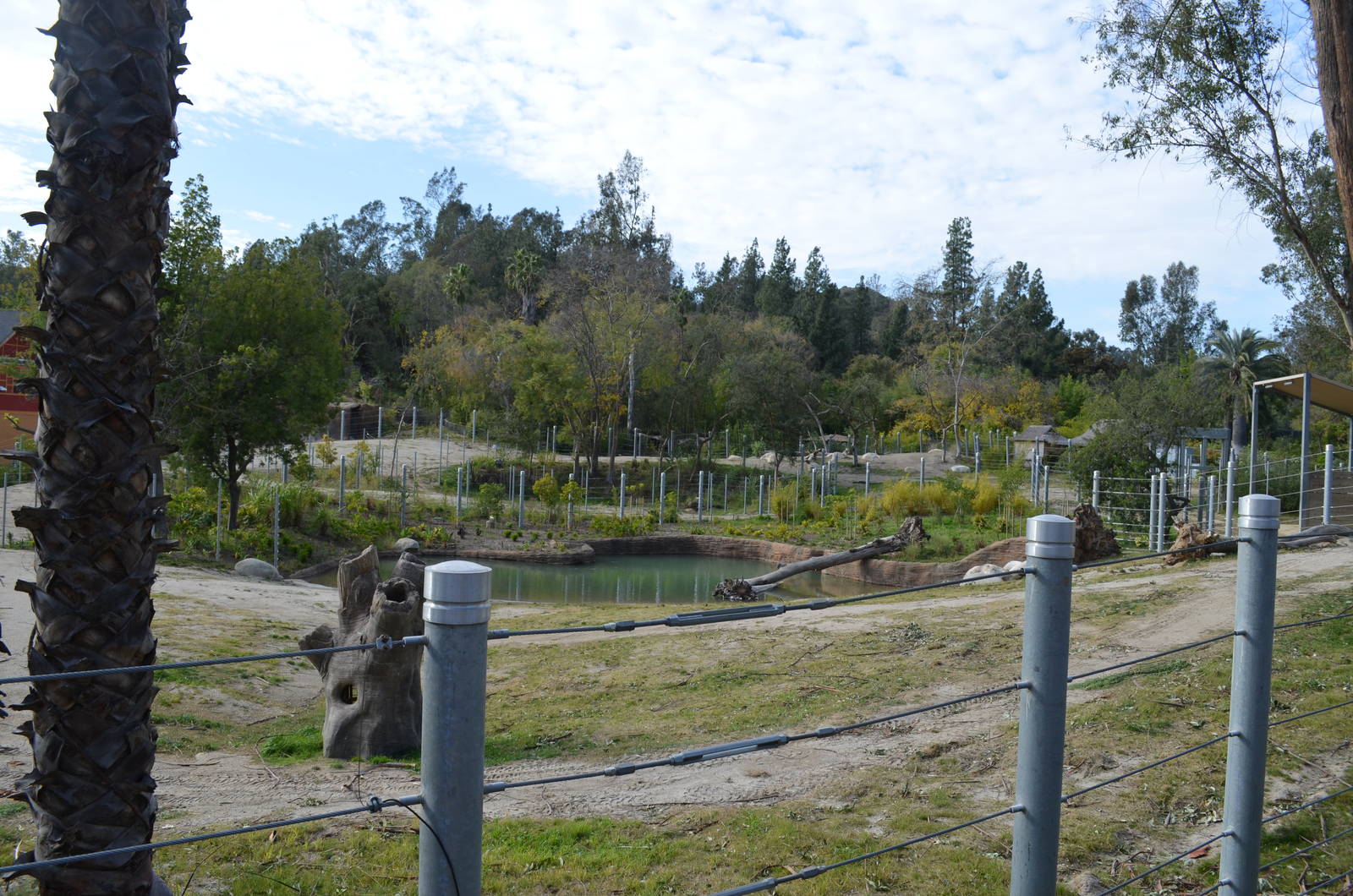 Elephants of Cambodia - Elephants of Asia