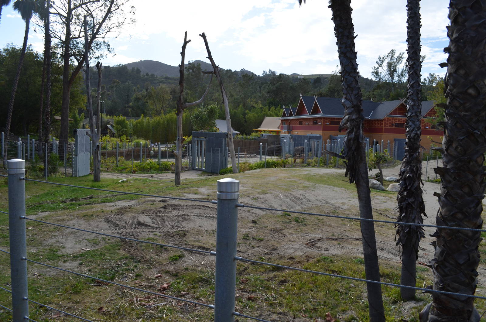 Elephants of Cambodia - Elephants of Asia