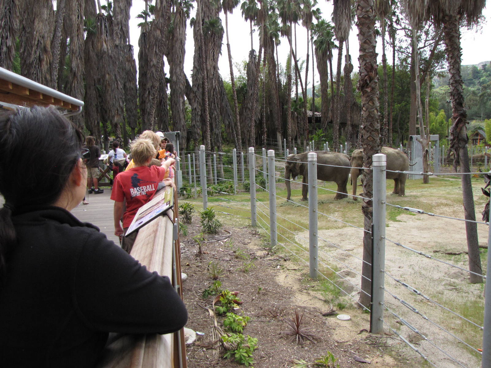 Elephants of Cambodia Observation Deck