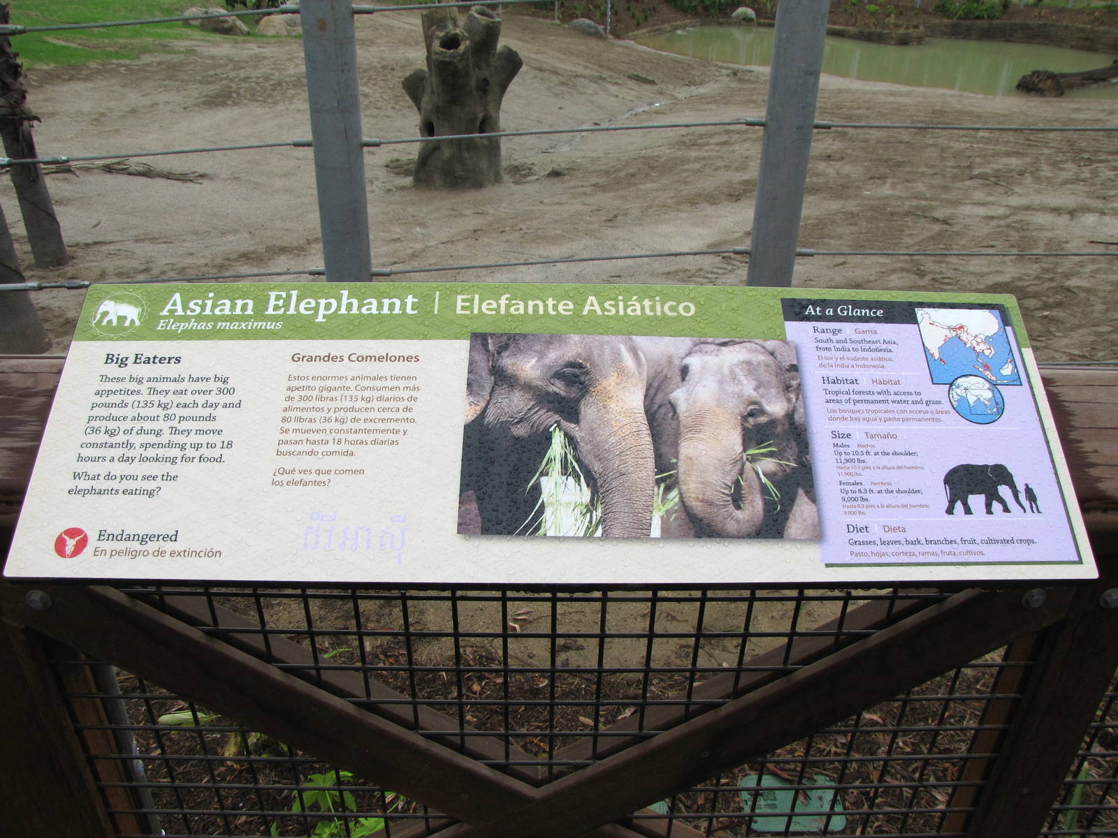 Elephants of Cambodia Signage