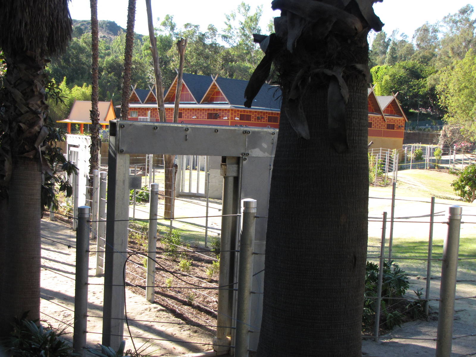 Elephants of Cambodia Viewing Area - Elephants of Asia