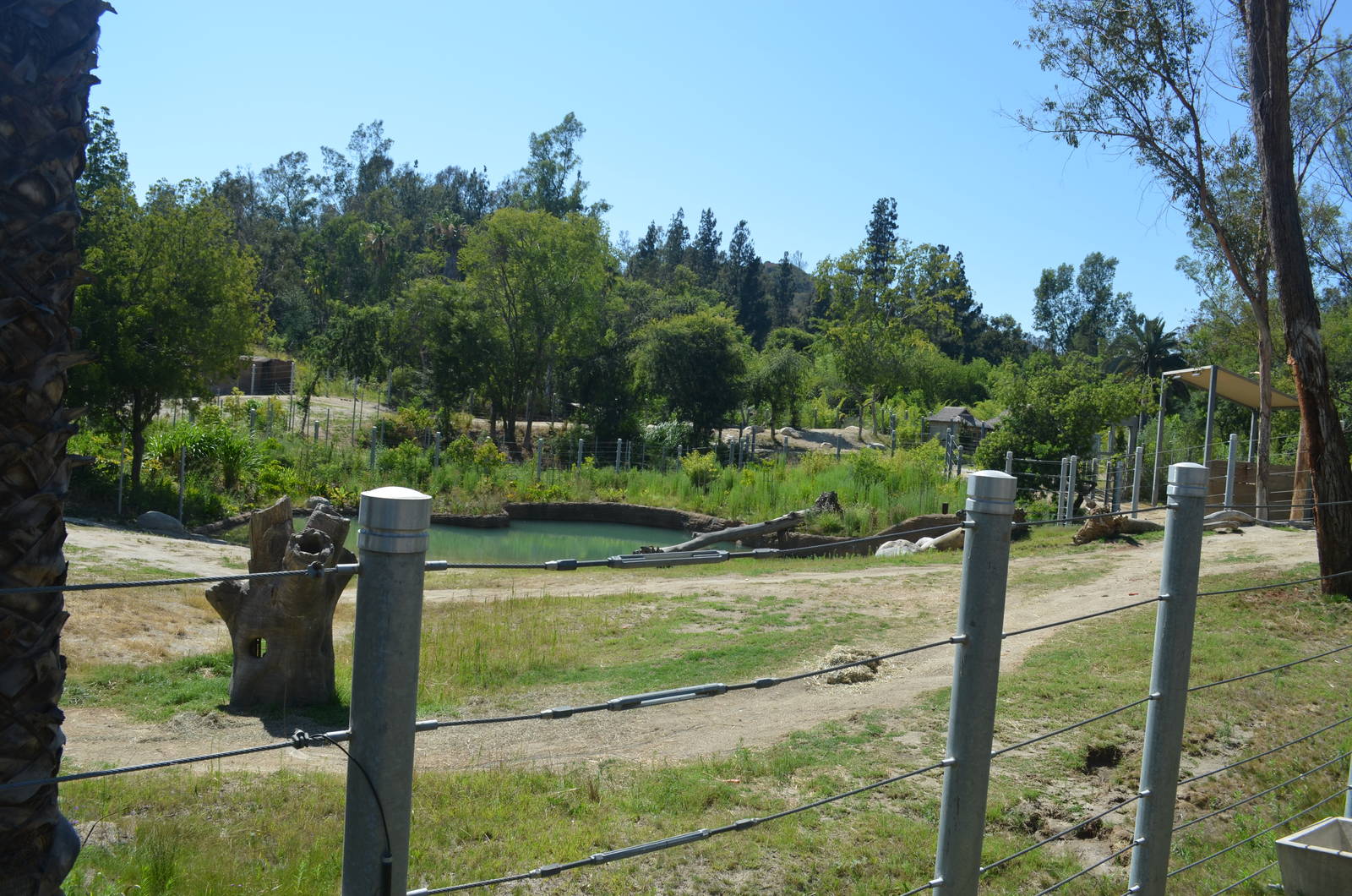 Elephants of Cambodia Yard
