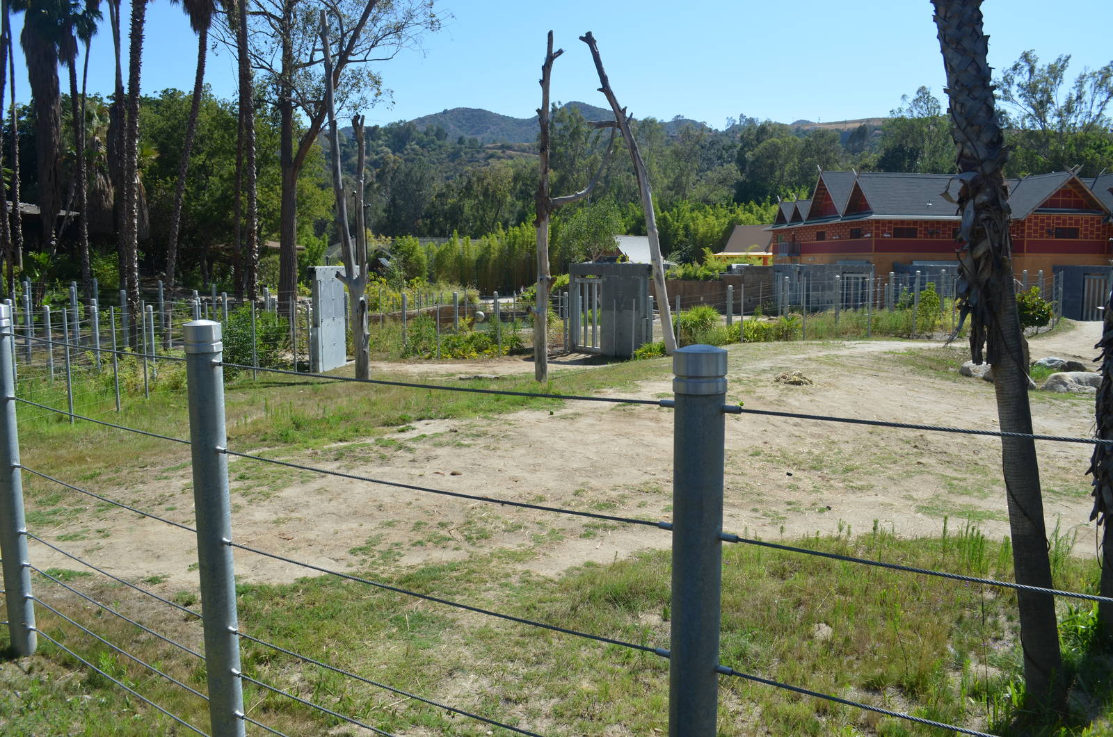 Elephants of Cambodia Yard