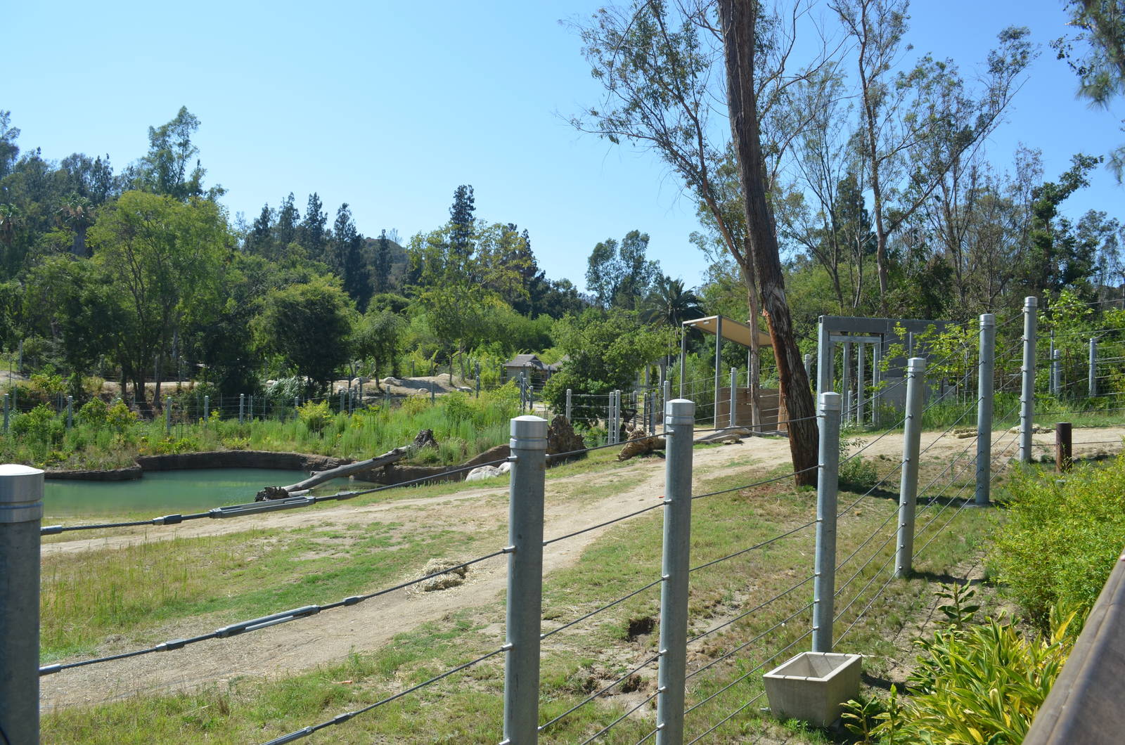 Elephants of Cambodia Yard