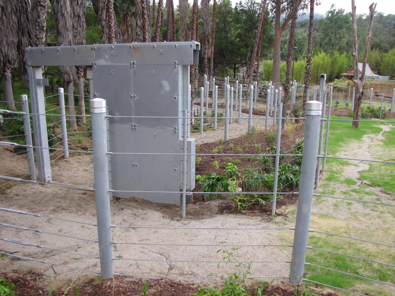 Elephants of Cambodia