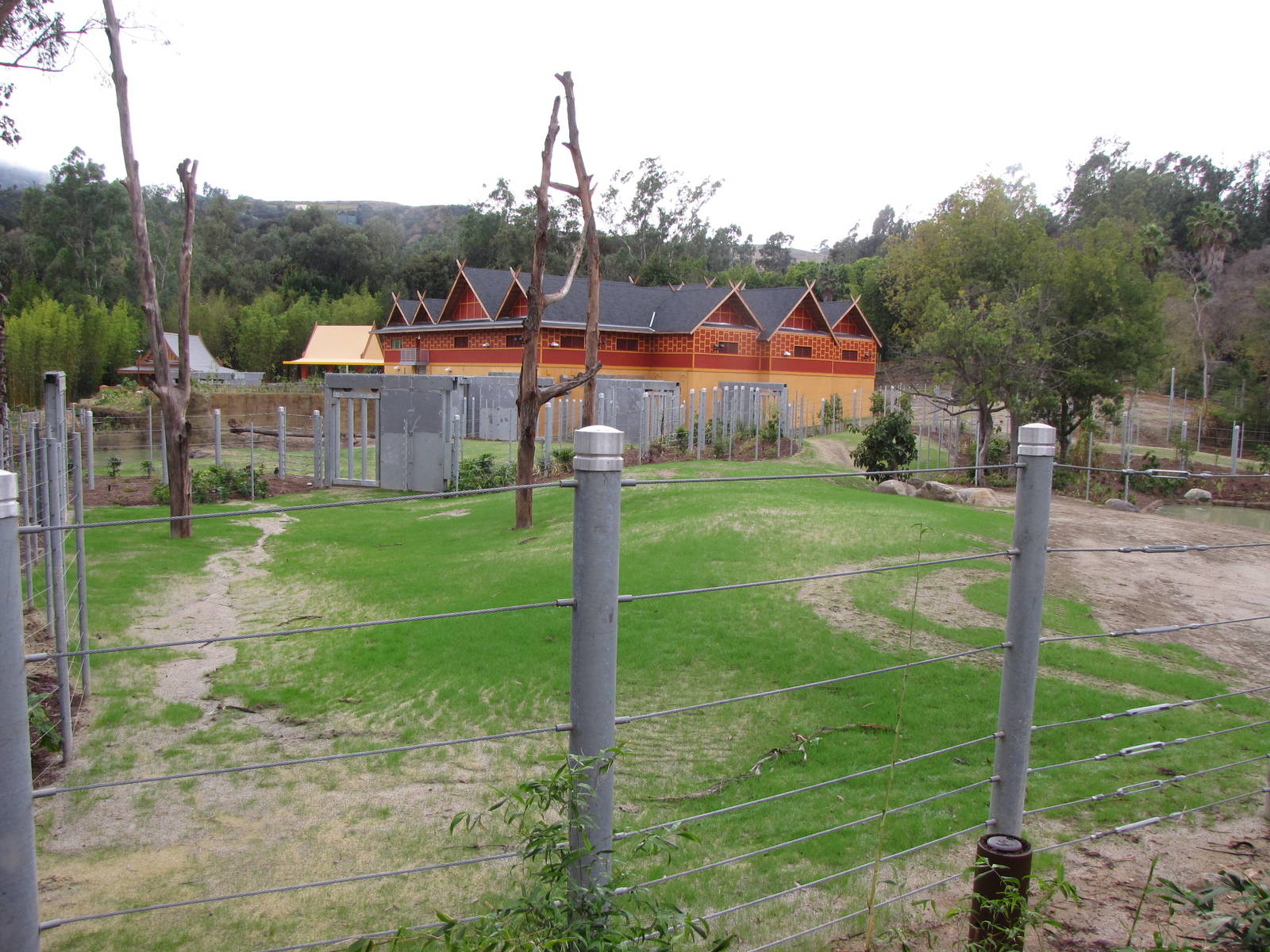 Elephants of Cambodia