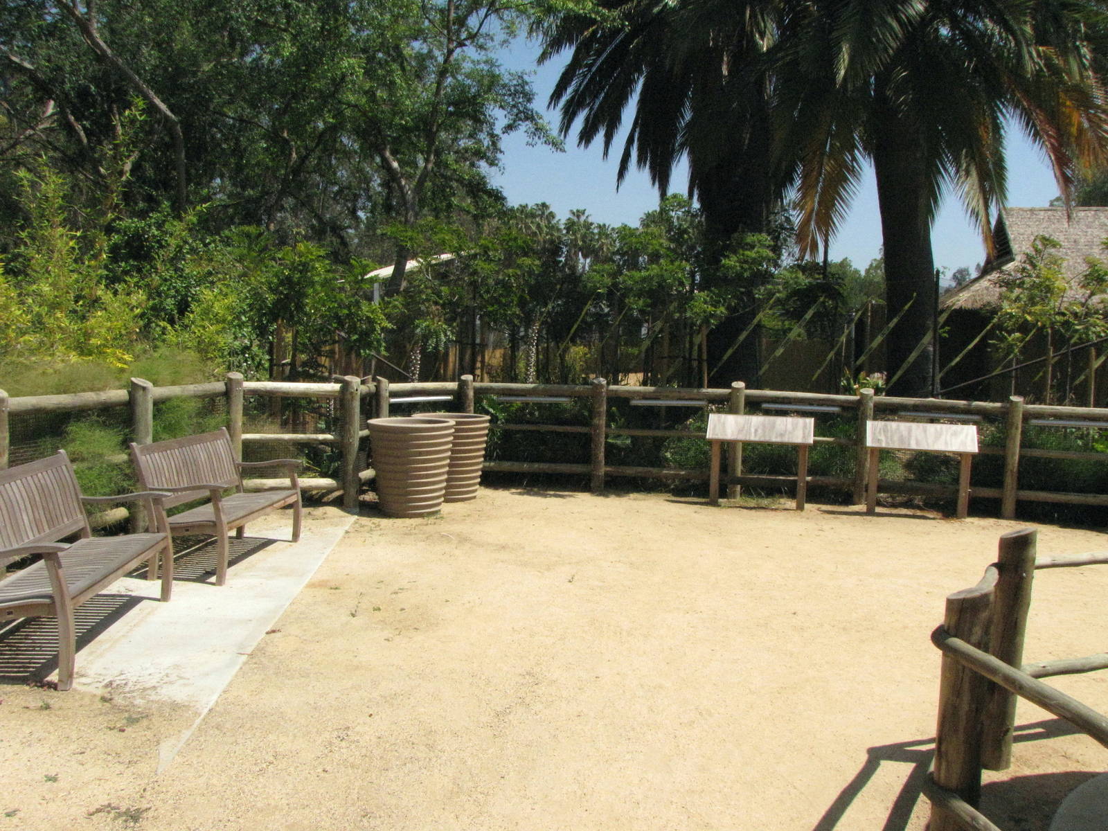 Elephants of China - Pachyderm Forest