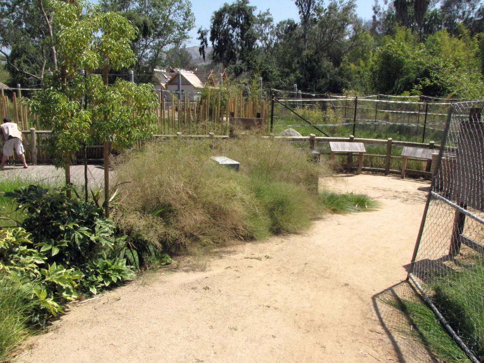 Elephants of China - Pachyderm Forest