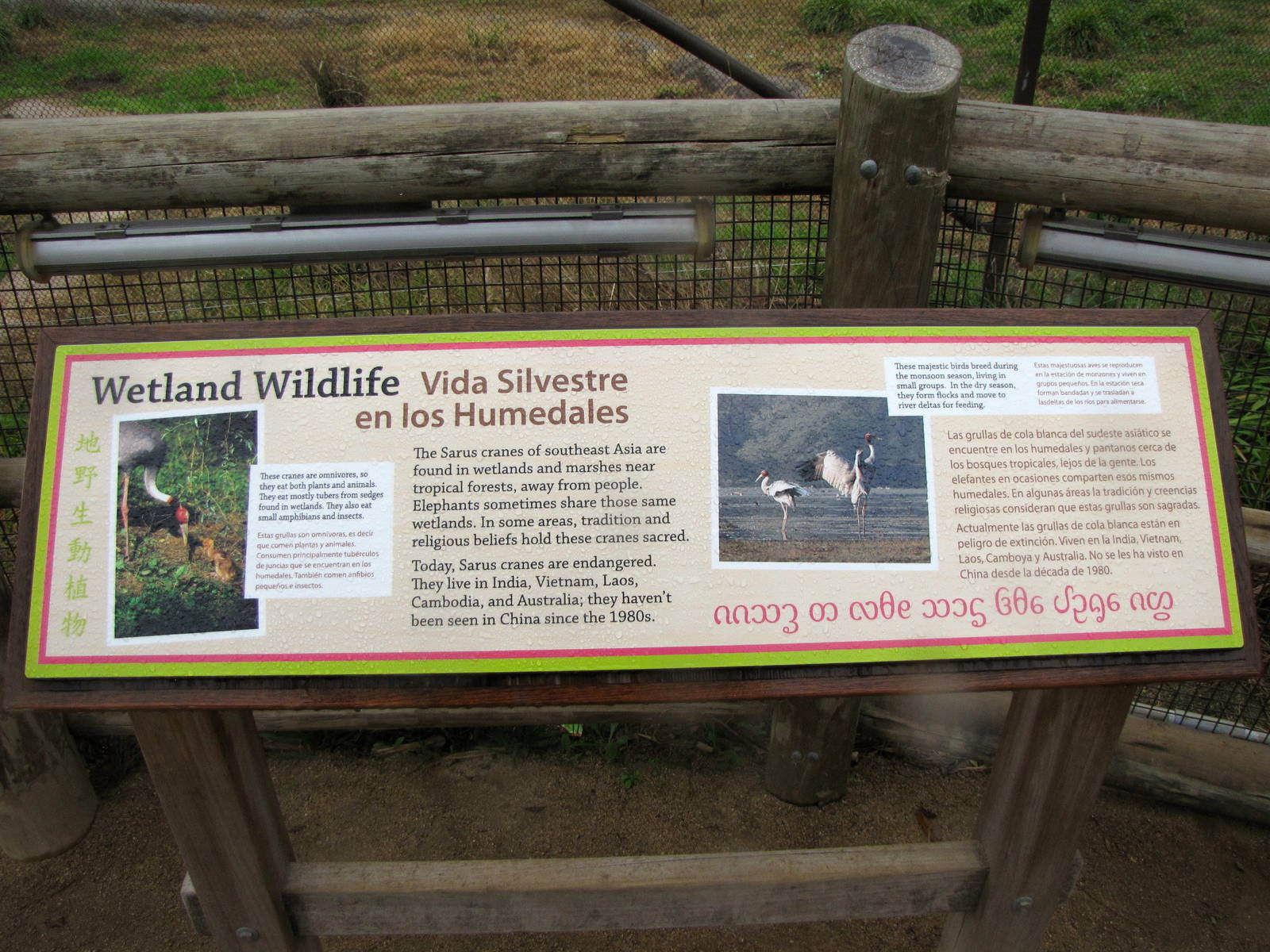 Elephants of China - Signage