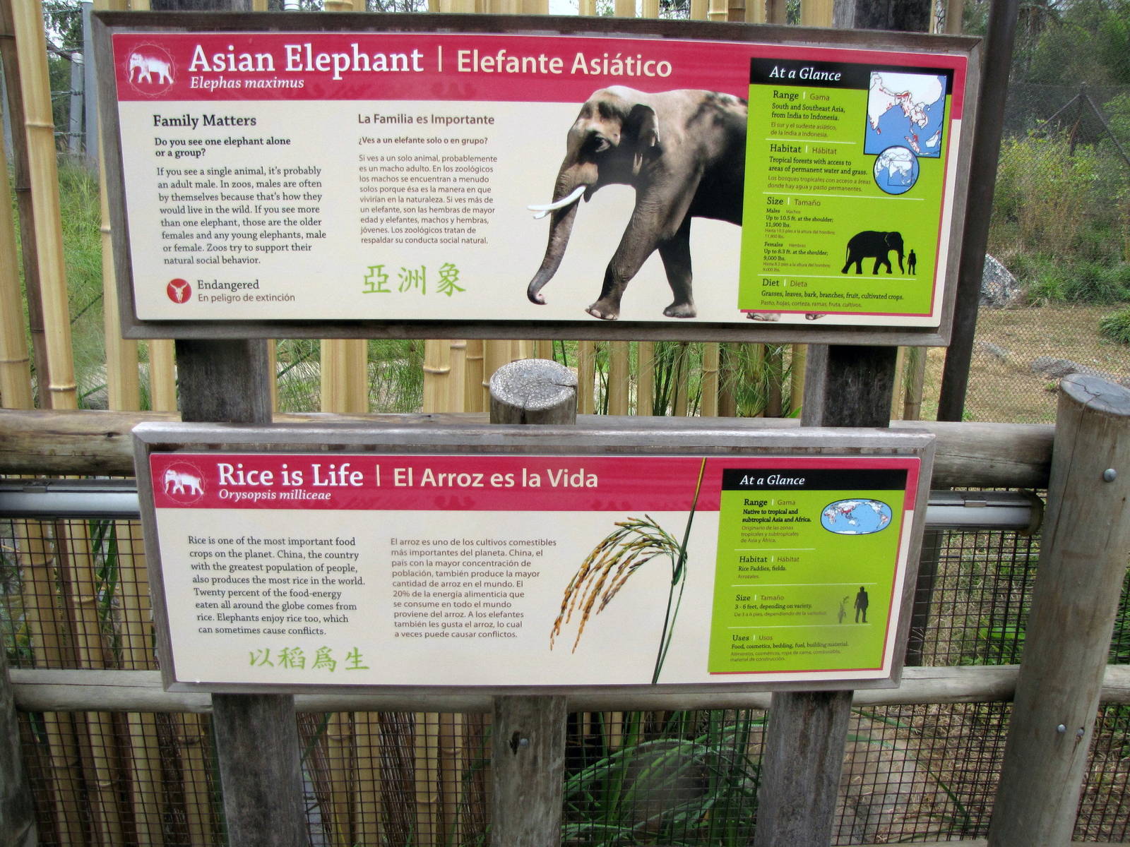 Elephants of China - Signage