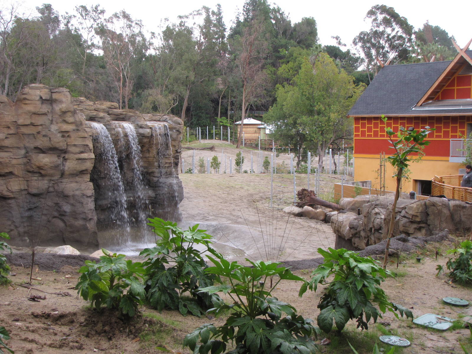 Elephants of India Waterfall