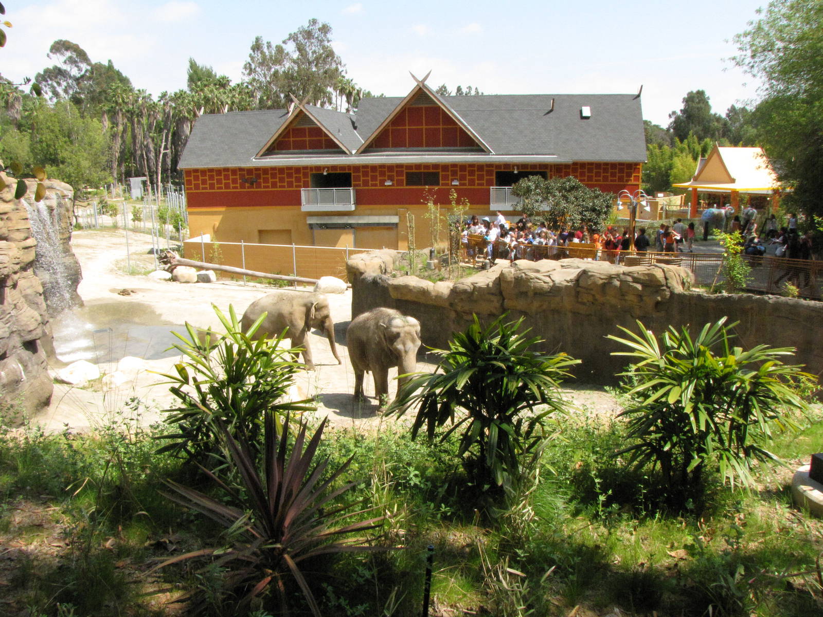 Elephants of India Yard