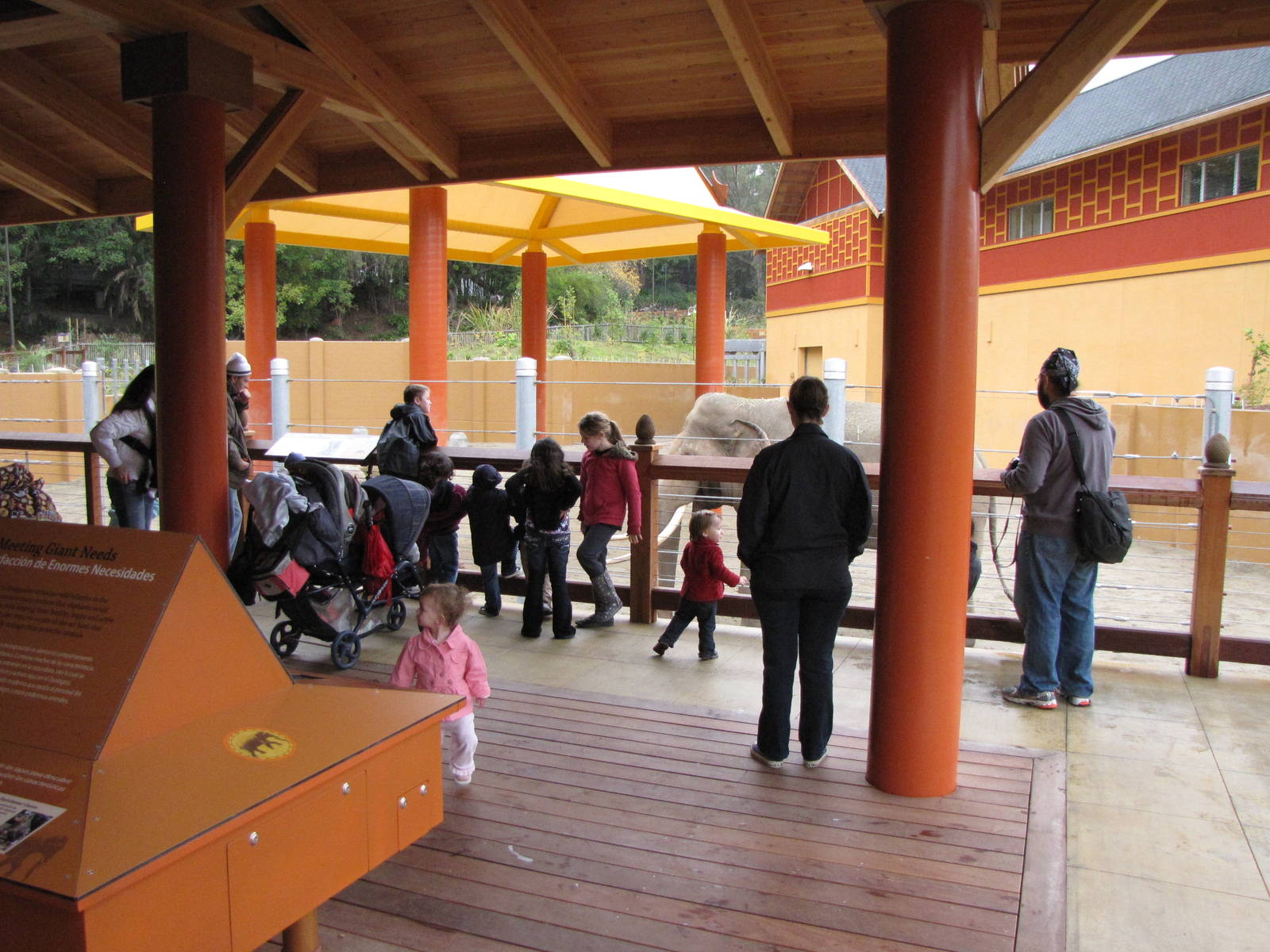 Elephants of Thailand Viewing Area