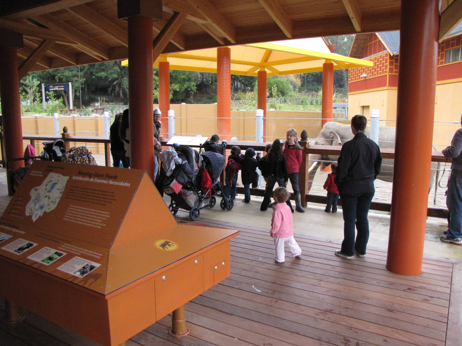 Elephants of Thailand Viewing Area