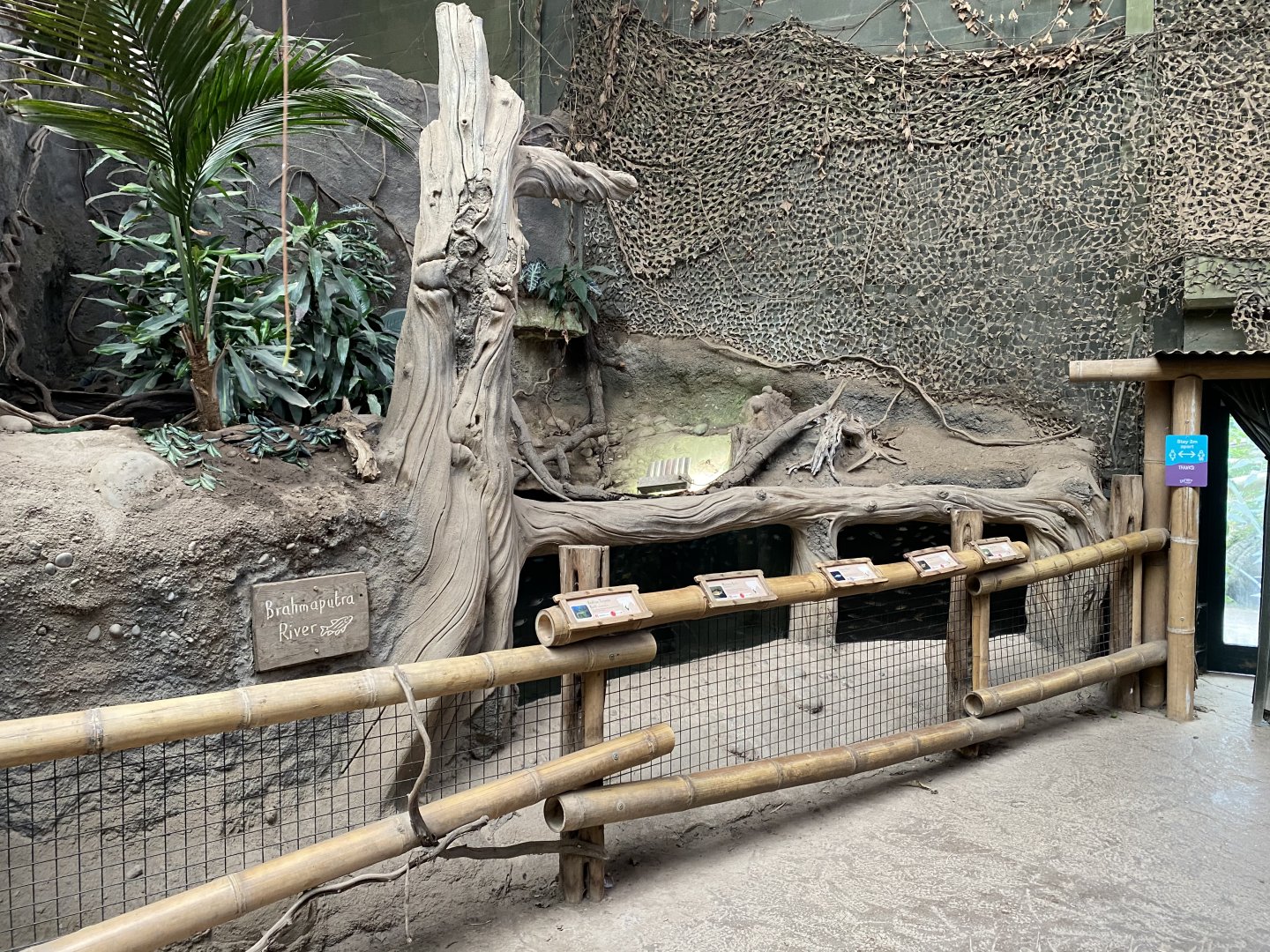 Elephants of the Asian Forest aquarium 110920