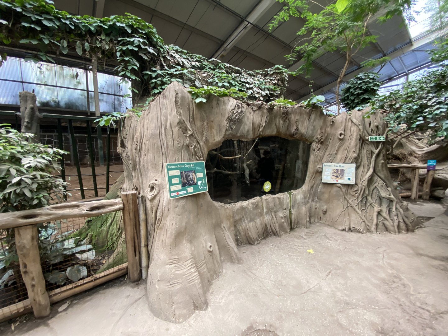 Elephants of the Asian Forest - Cloud rat and Tree shrew enclosure 110920