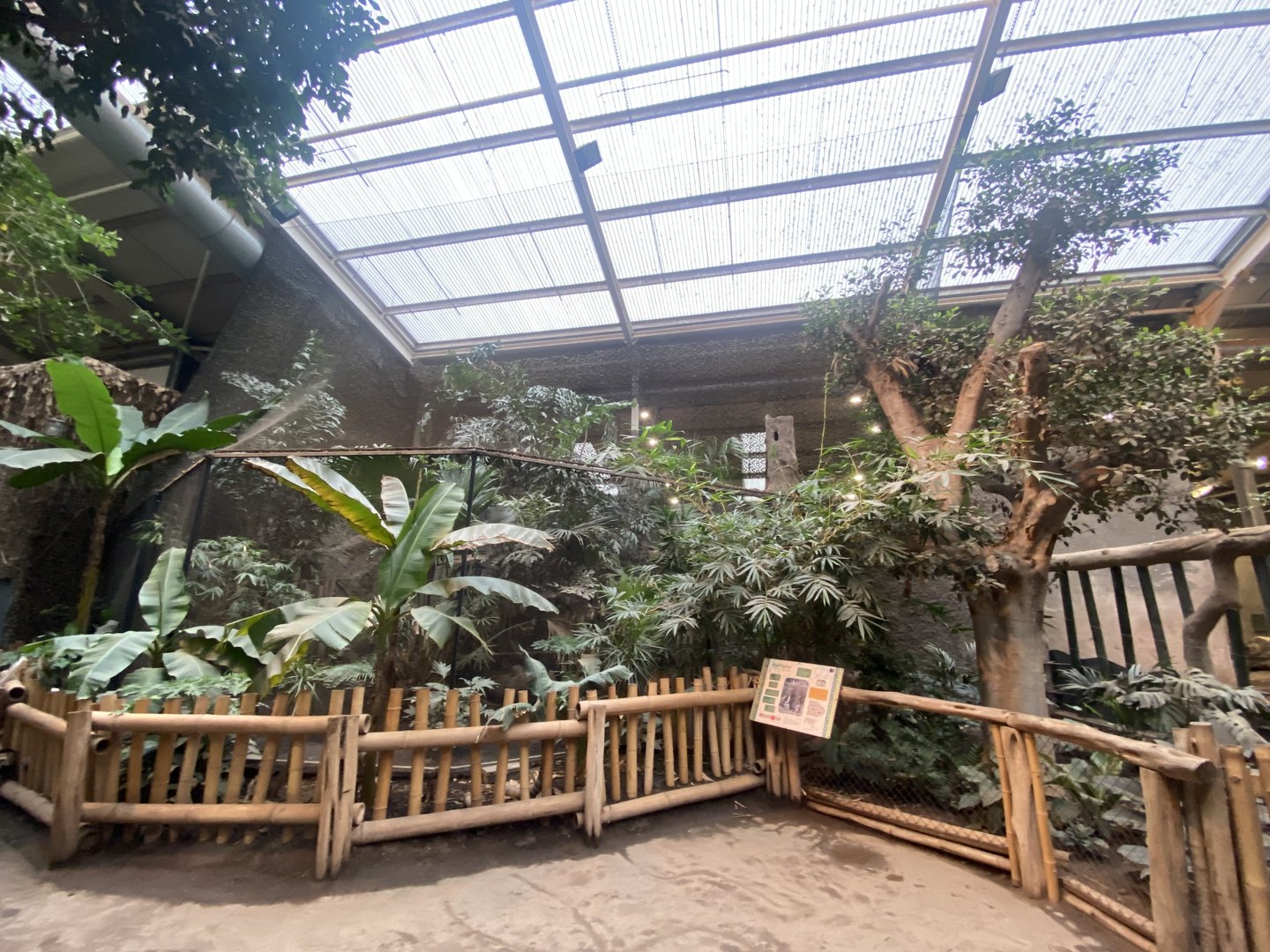 Elephants of the Asian Forest - Great hornbill aviary 221022