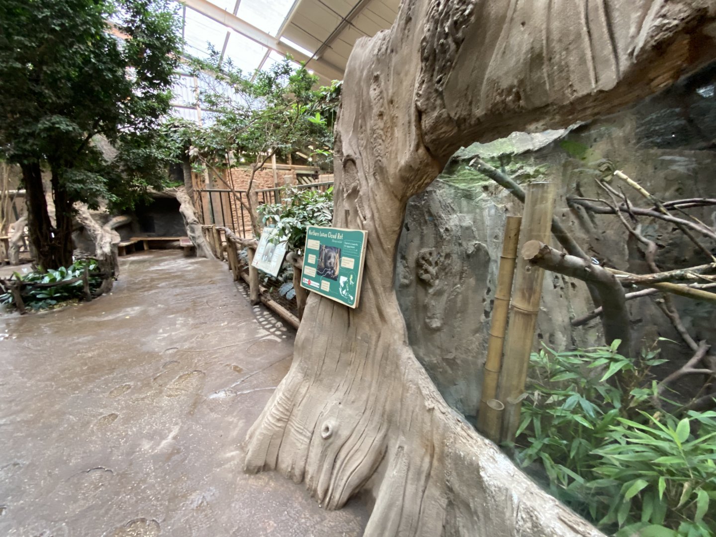 Elephants of the Asian forest - indoors 181021