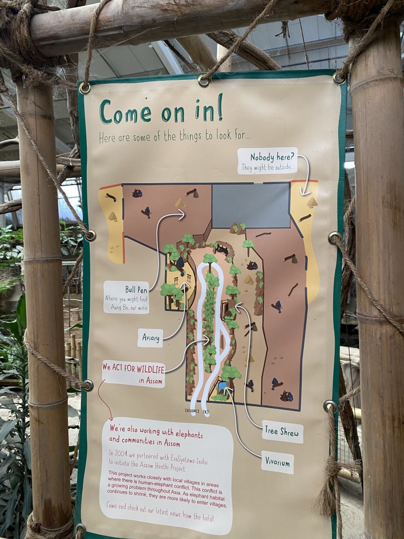 Elephants of the Asian Forest map 110920