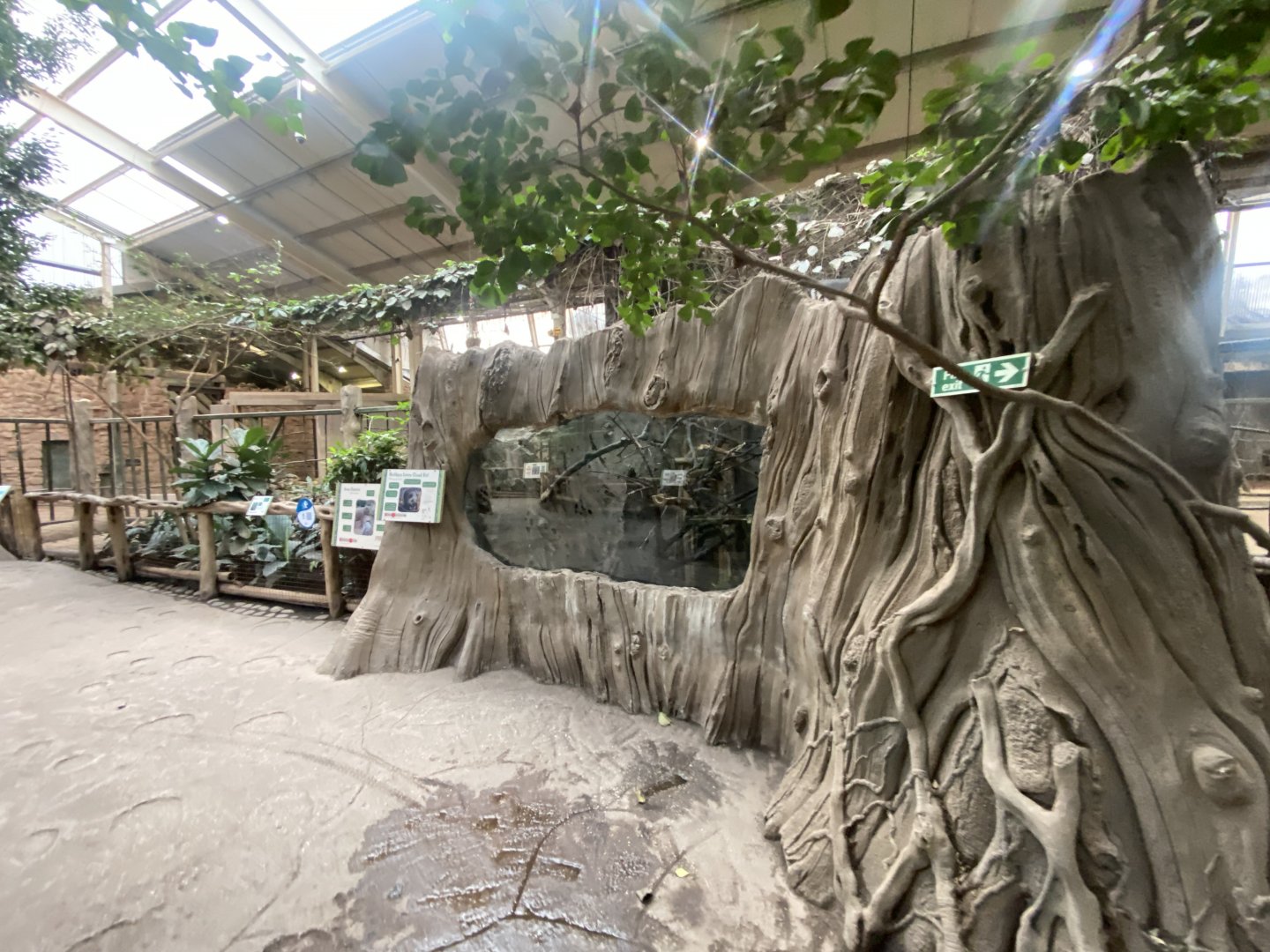 Elephants of the Asian Forest - Northern Luzon cloud rat exhibit 241123