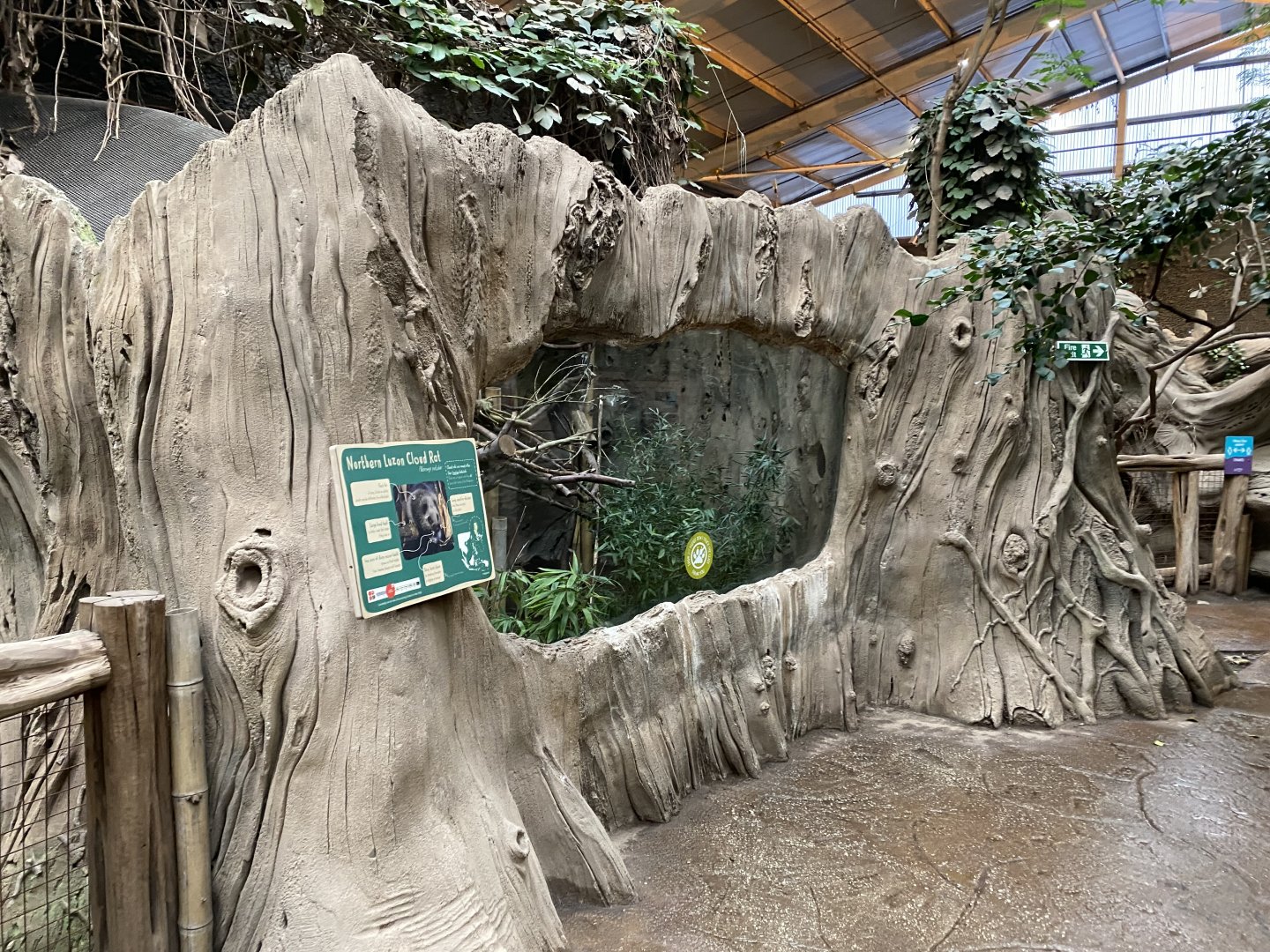 Elephants of the Asian forest - Northern Luzon giant cloud rat exhibit 181021