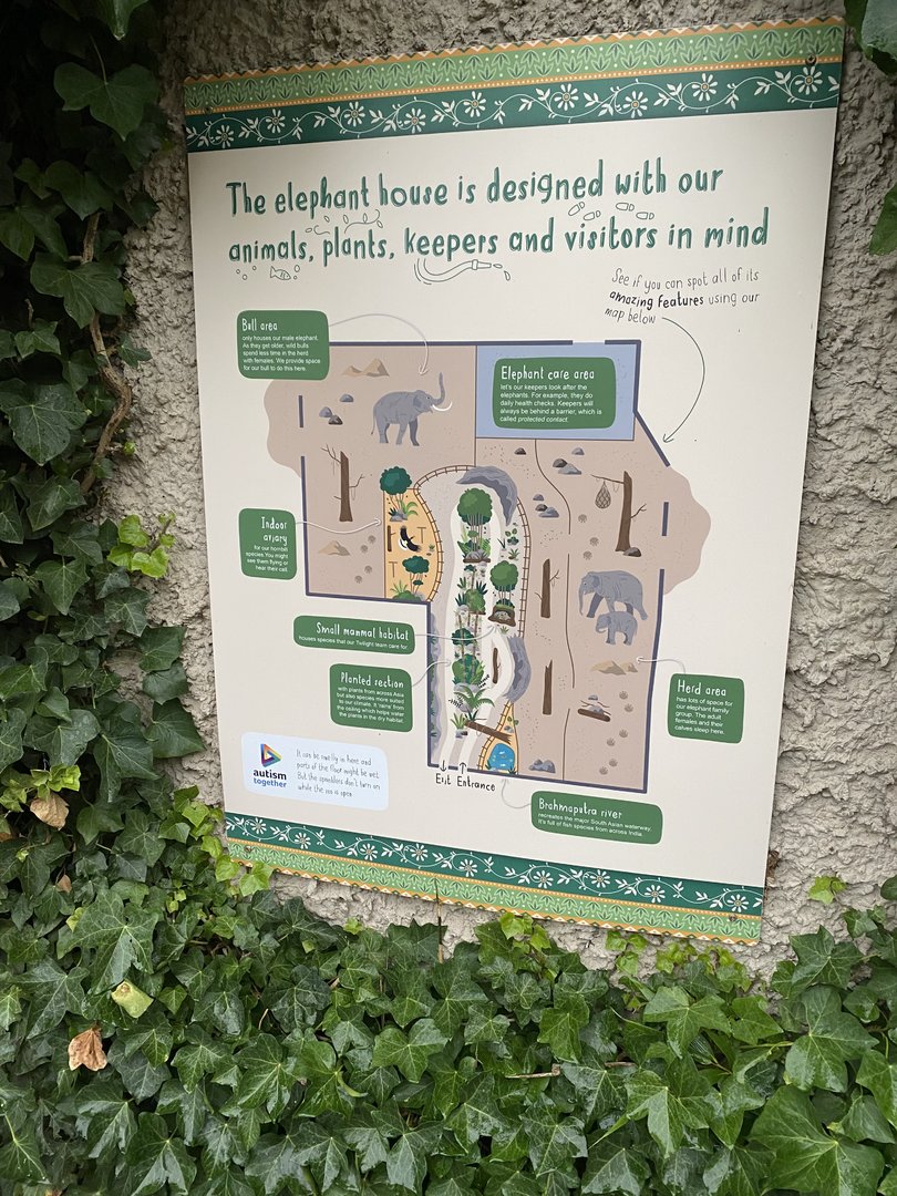 Elephants of the Asian Forest - Signage for design of indoors 221022