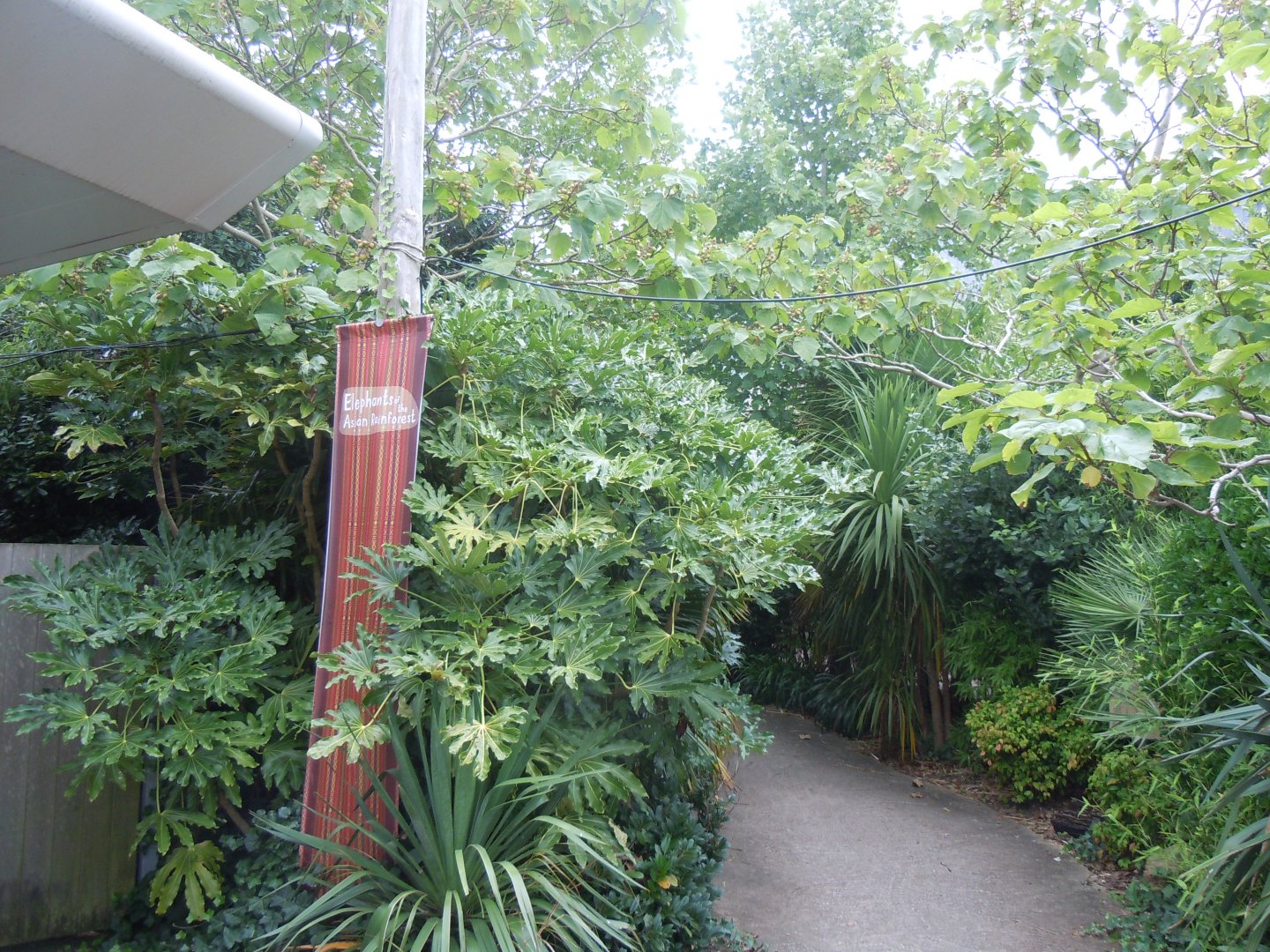 Elephants of the Asian Forest walkway to entrance 110920